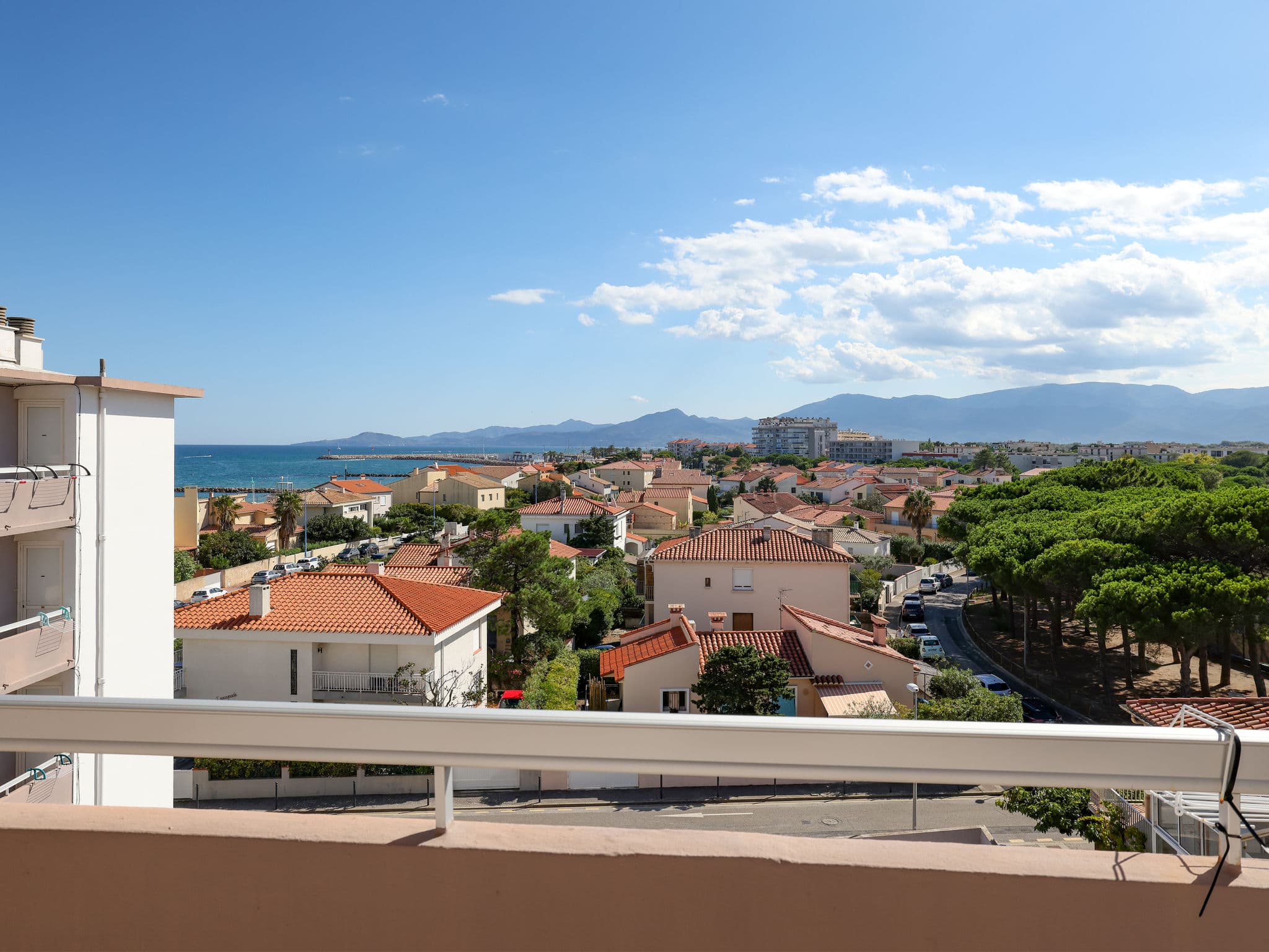 View