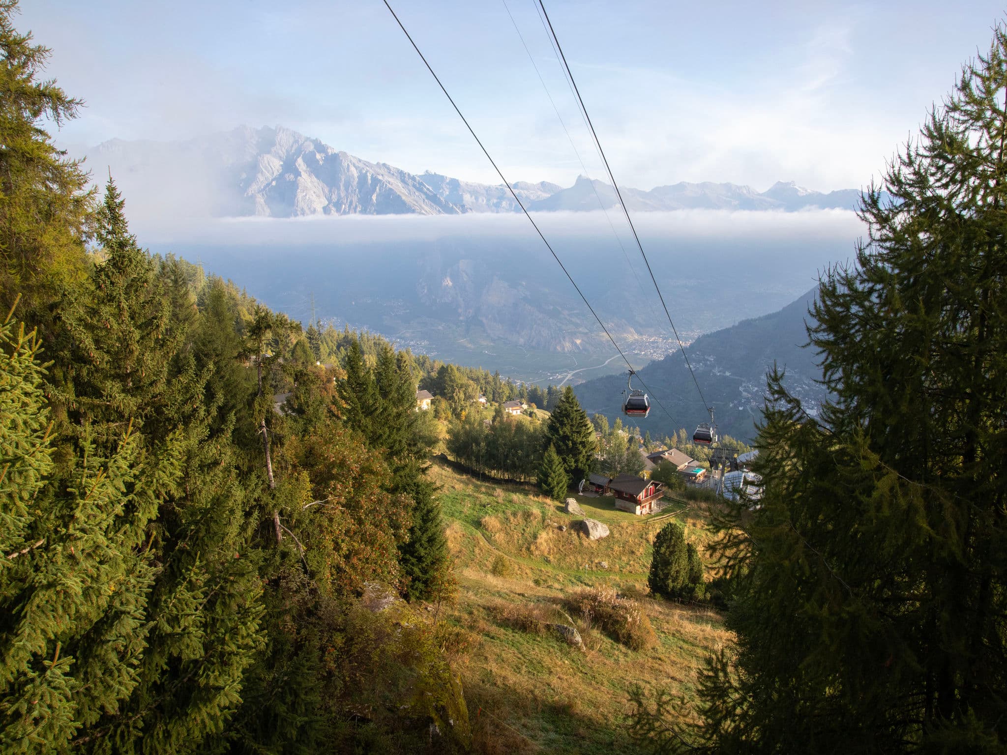 View
