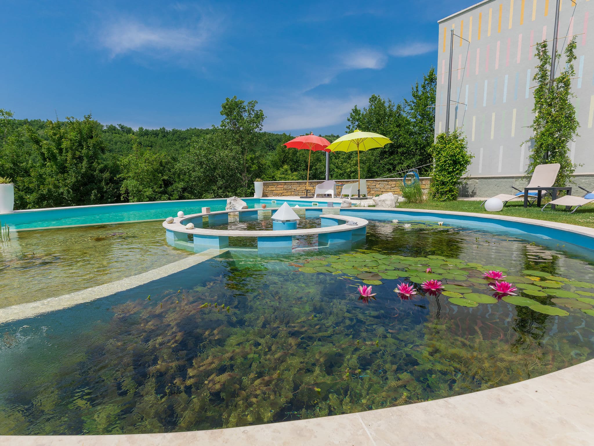 Pool Outdoor