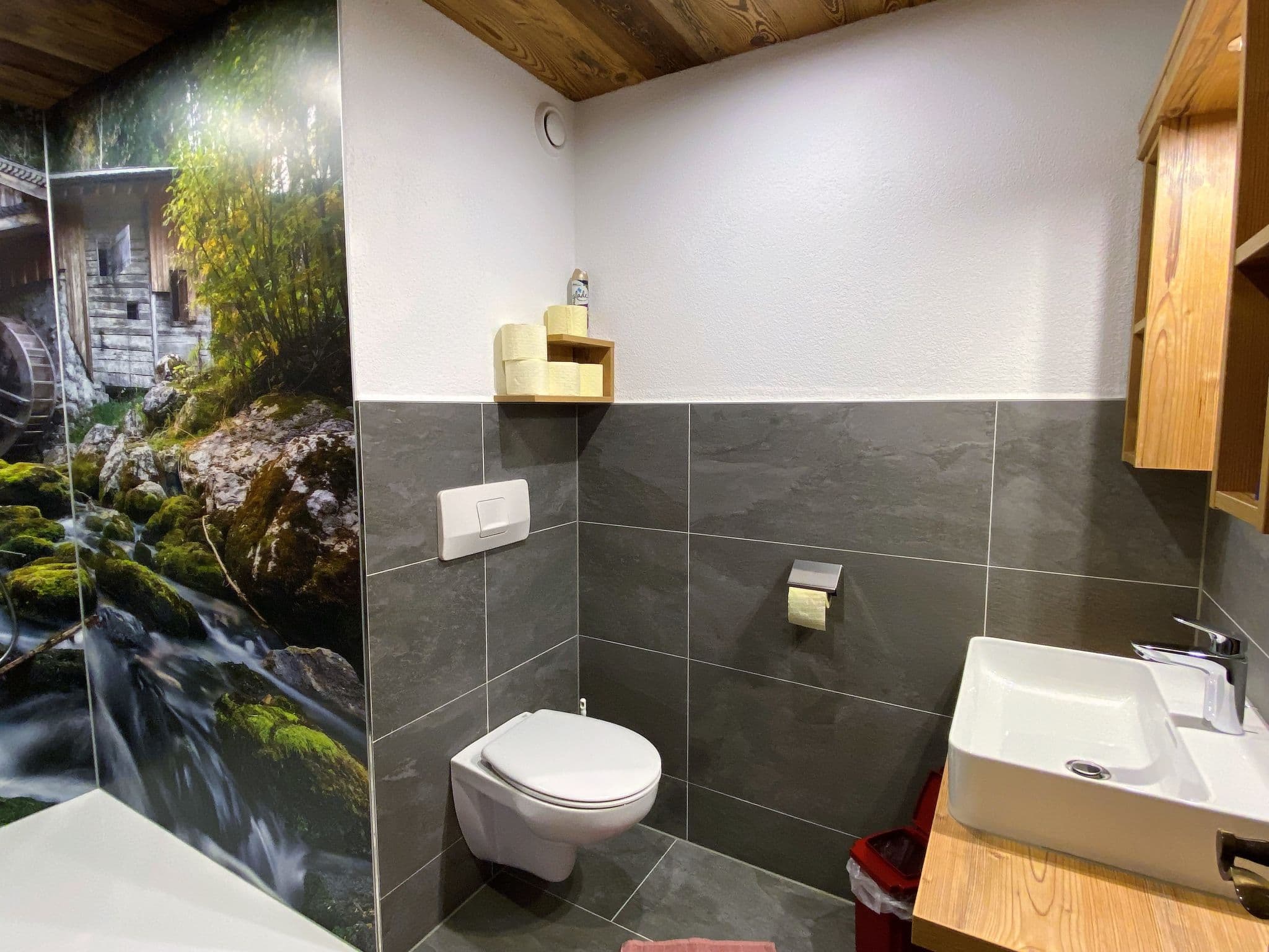 Bathroom / Wellness