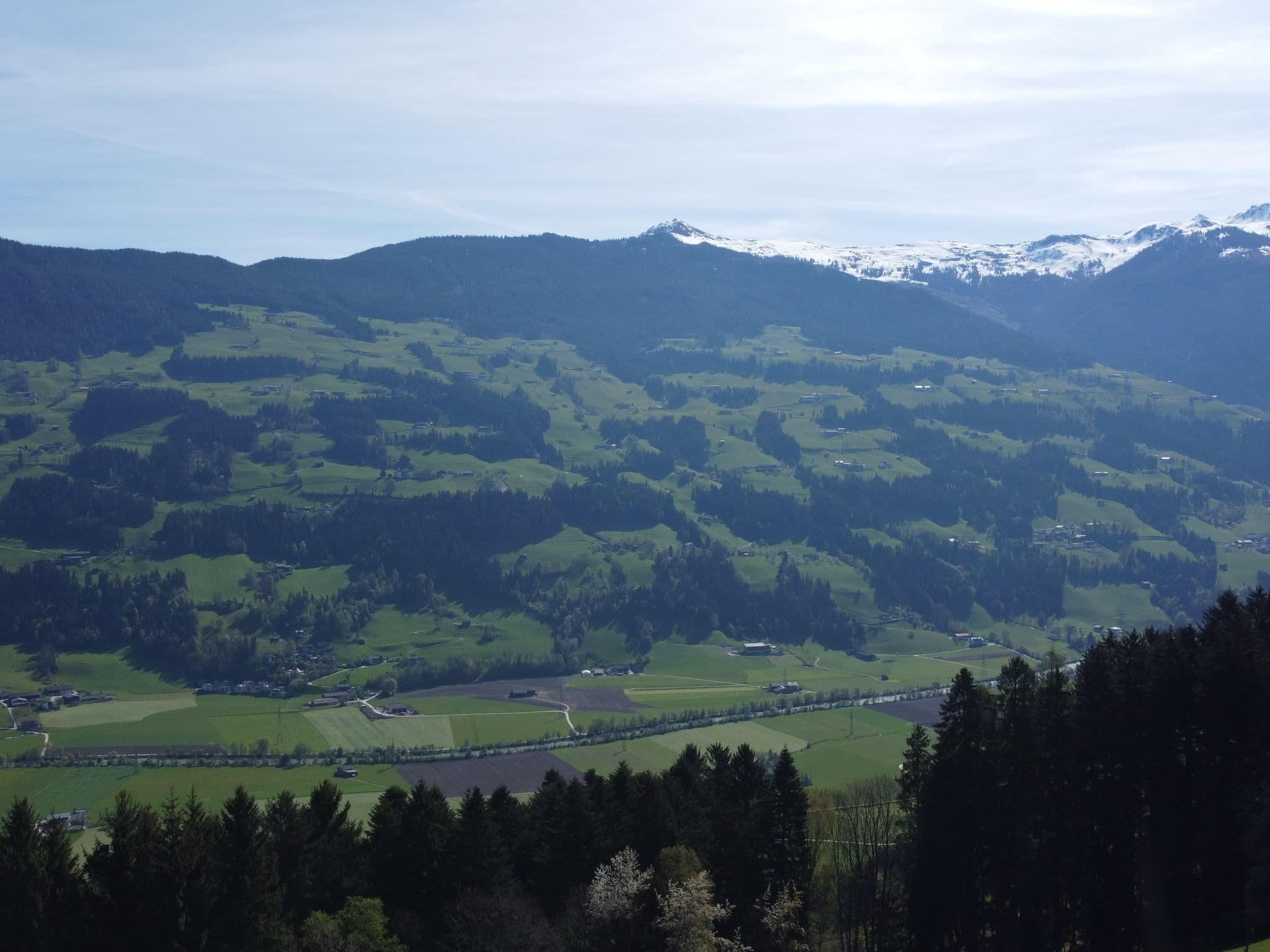 View