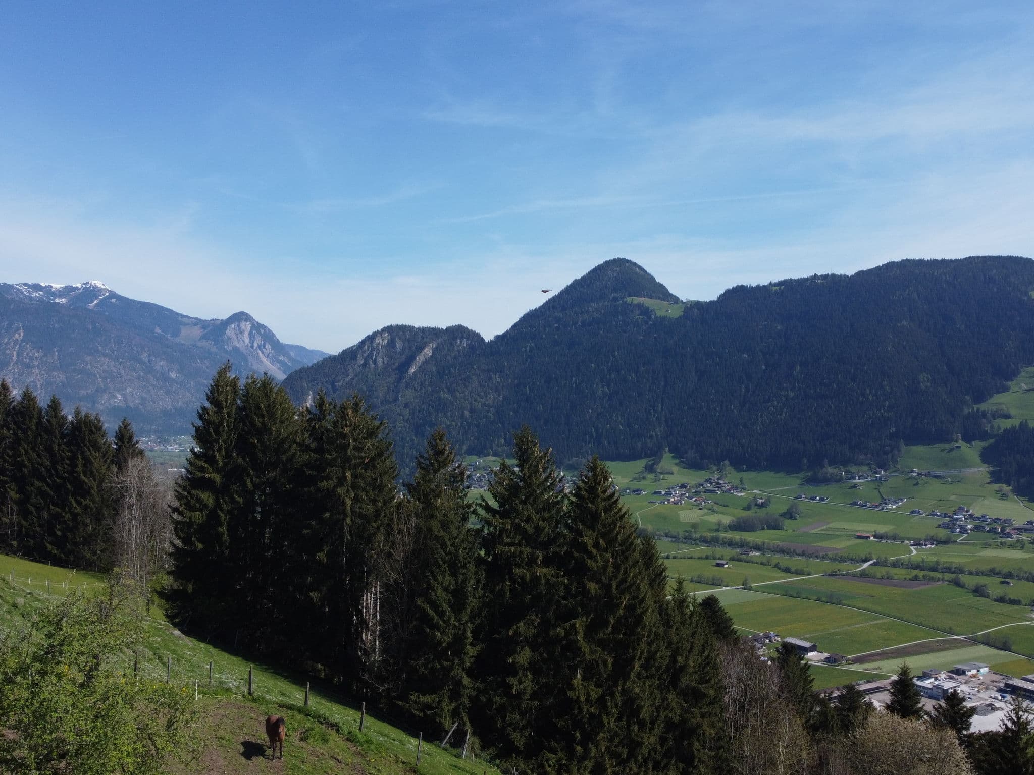 View