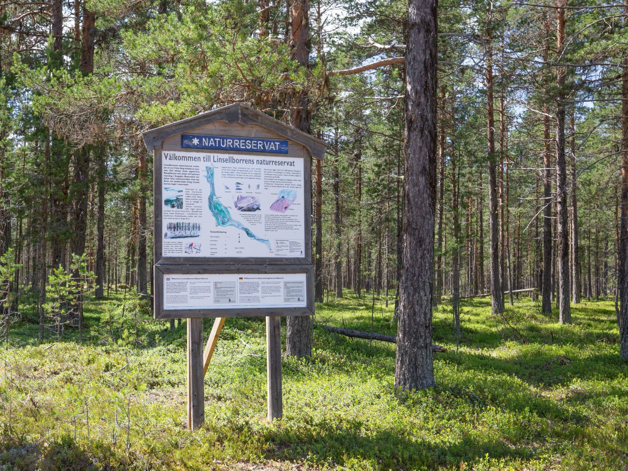 Place