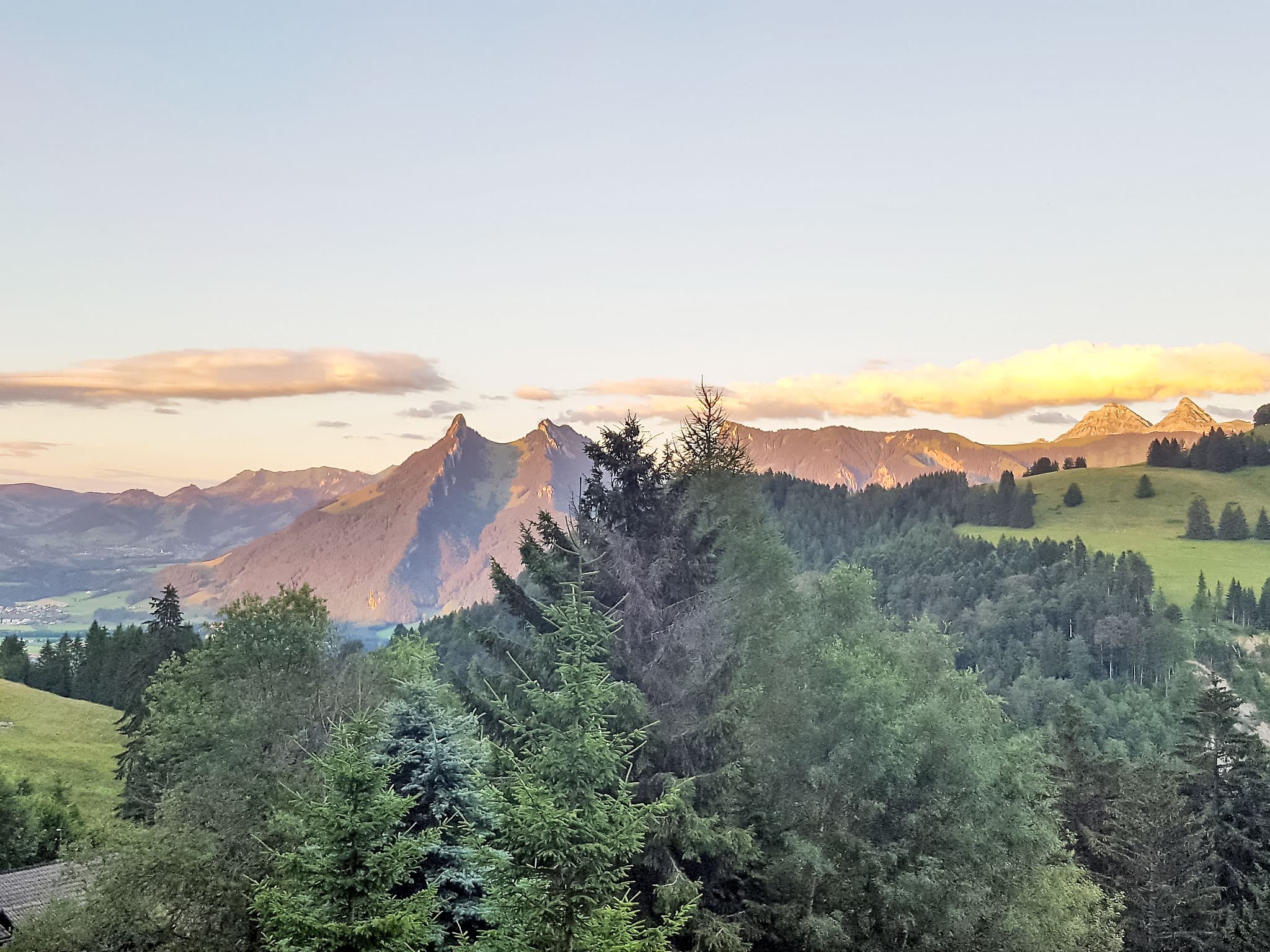 View