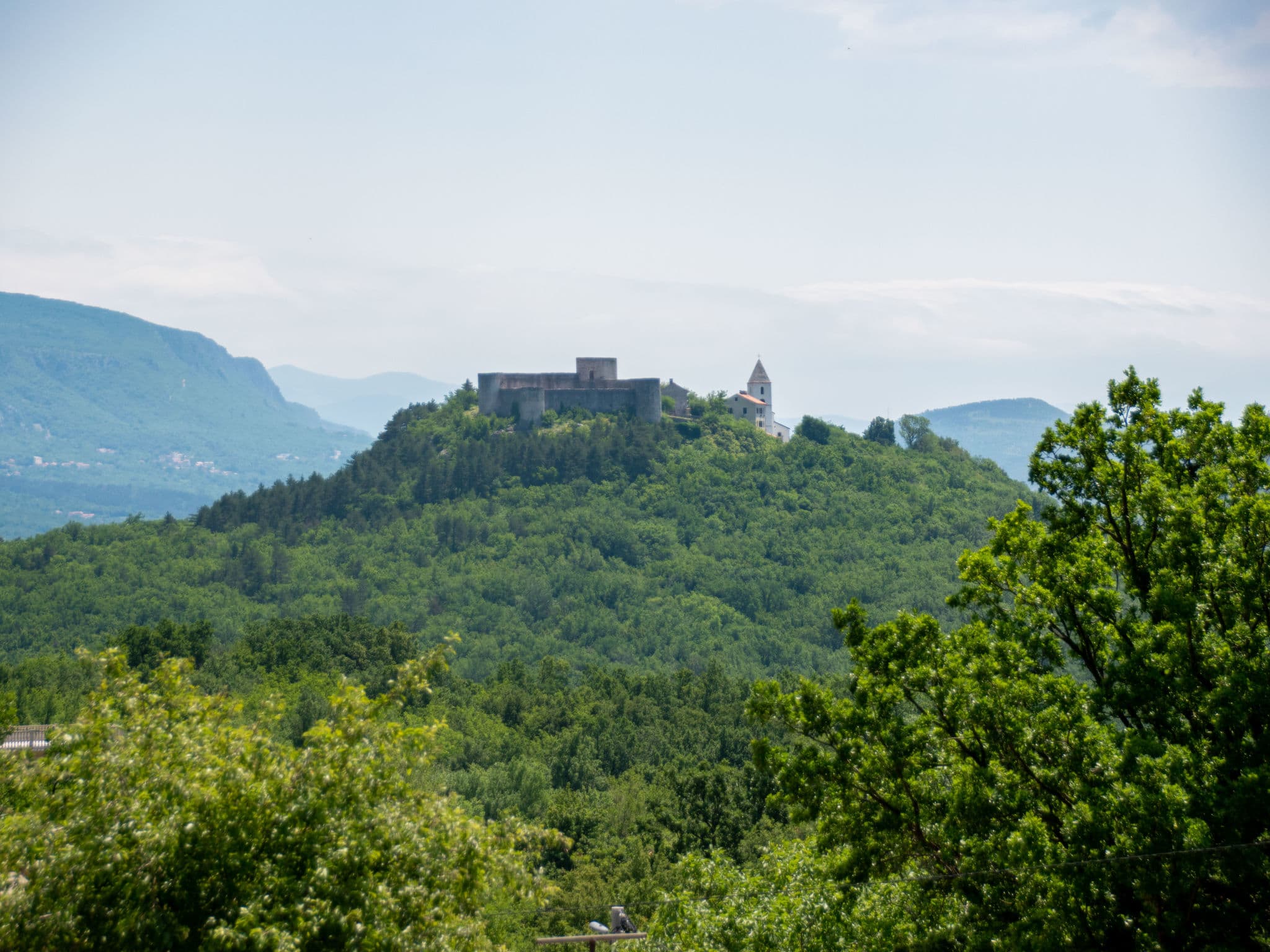 View