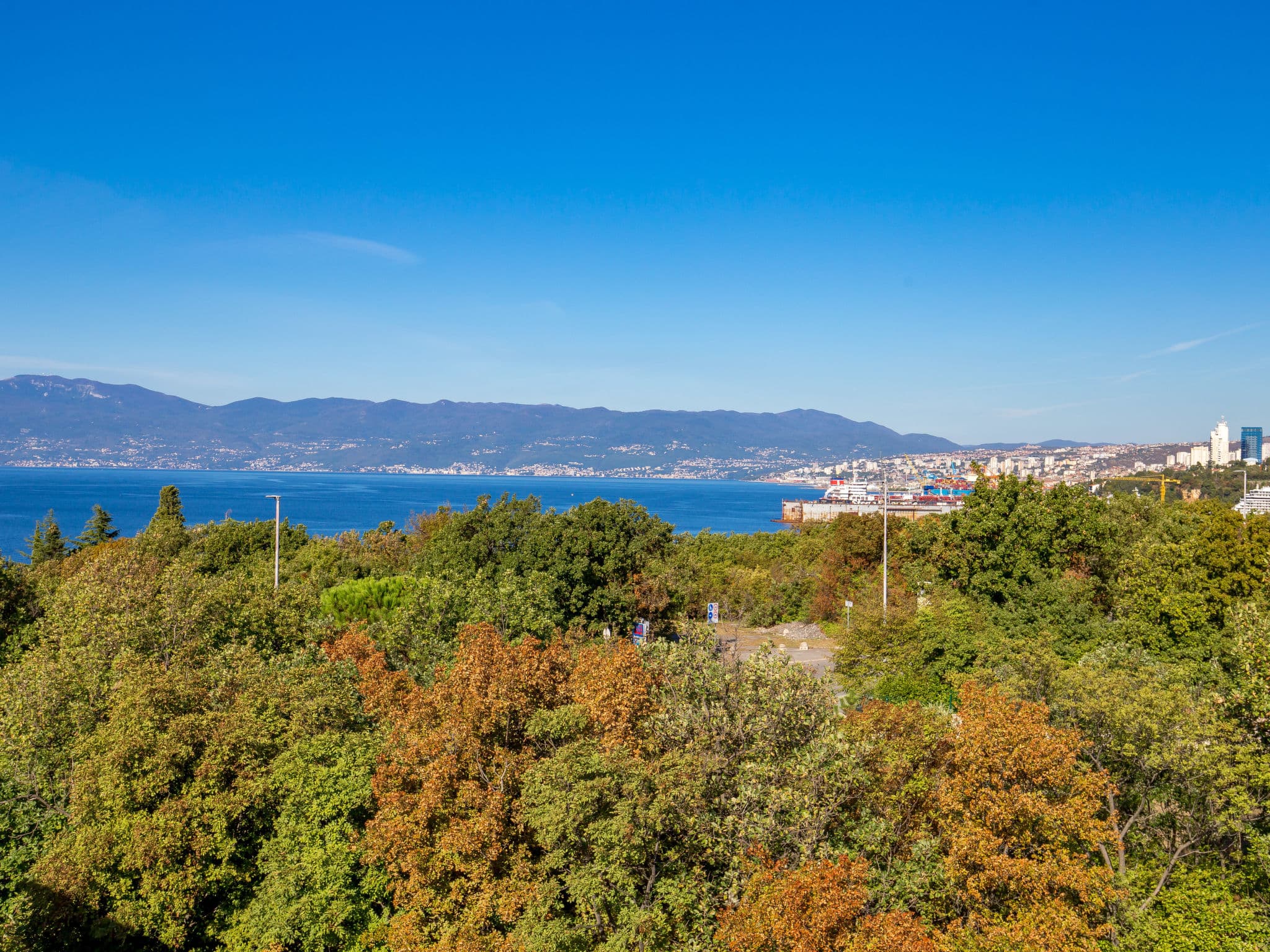 View