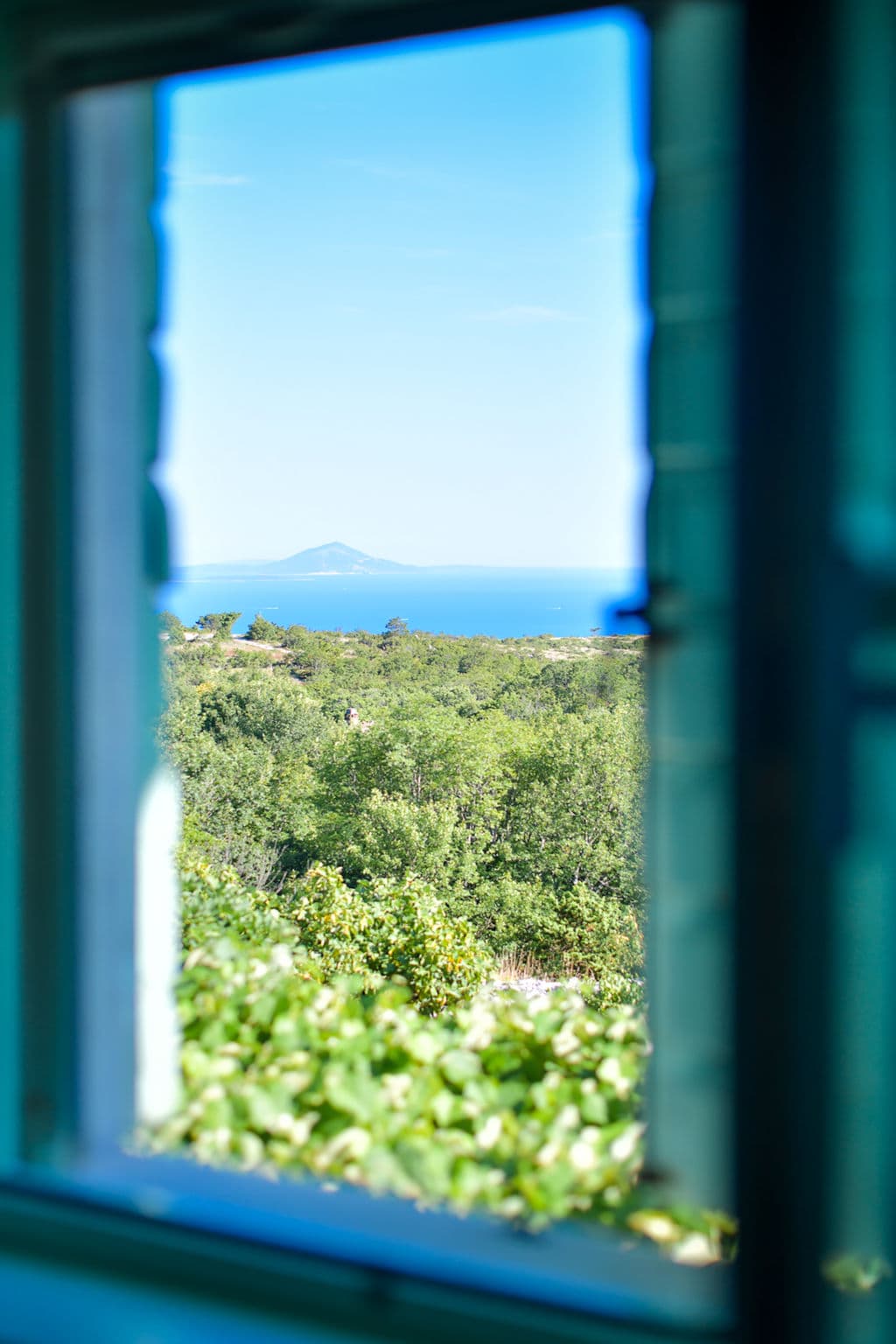 View