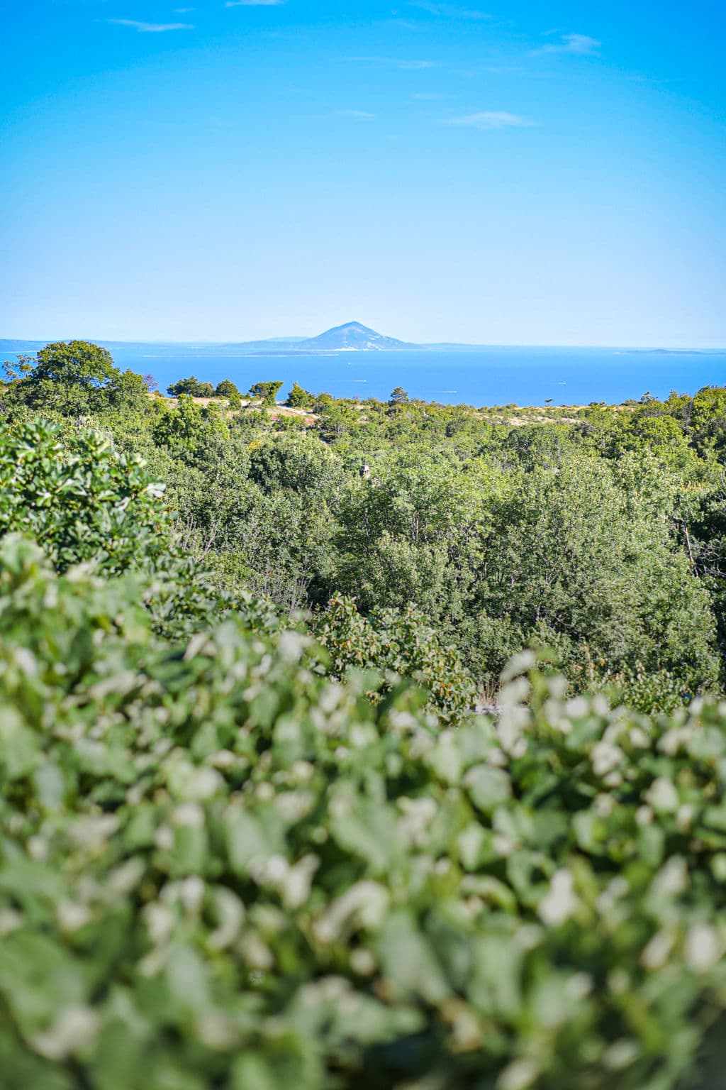 View
