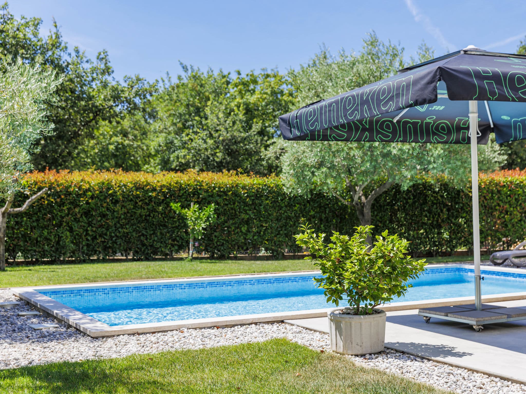 Pool Outdoor