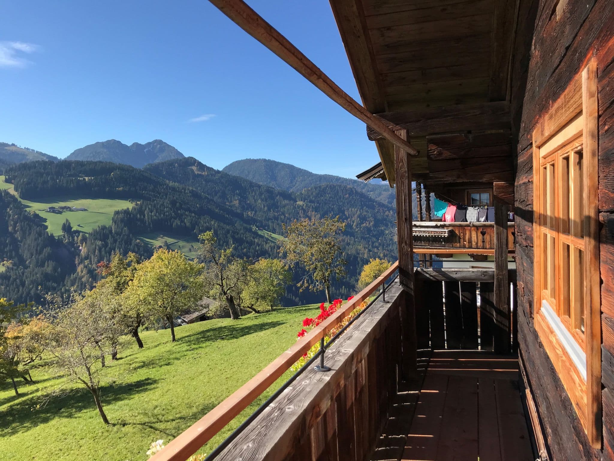 View