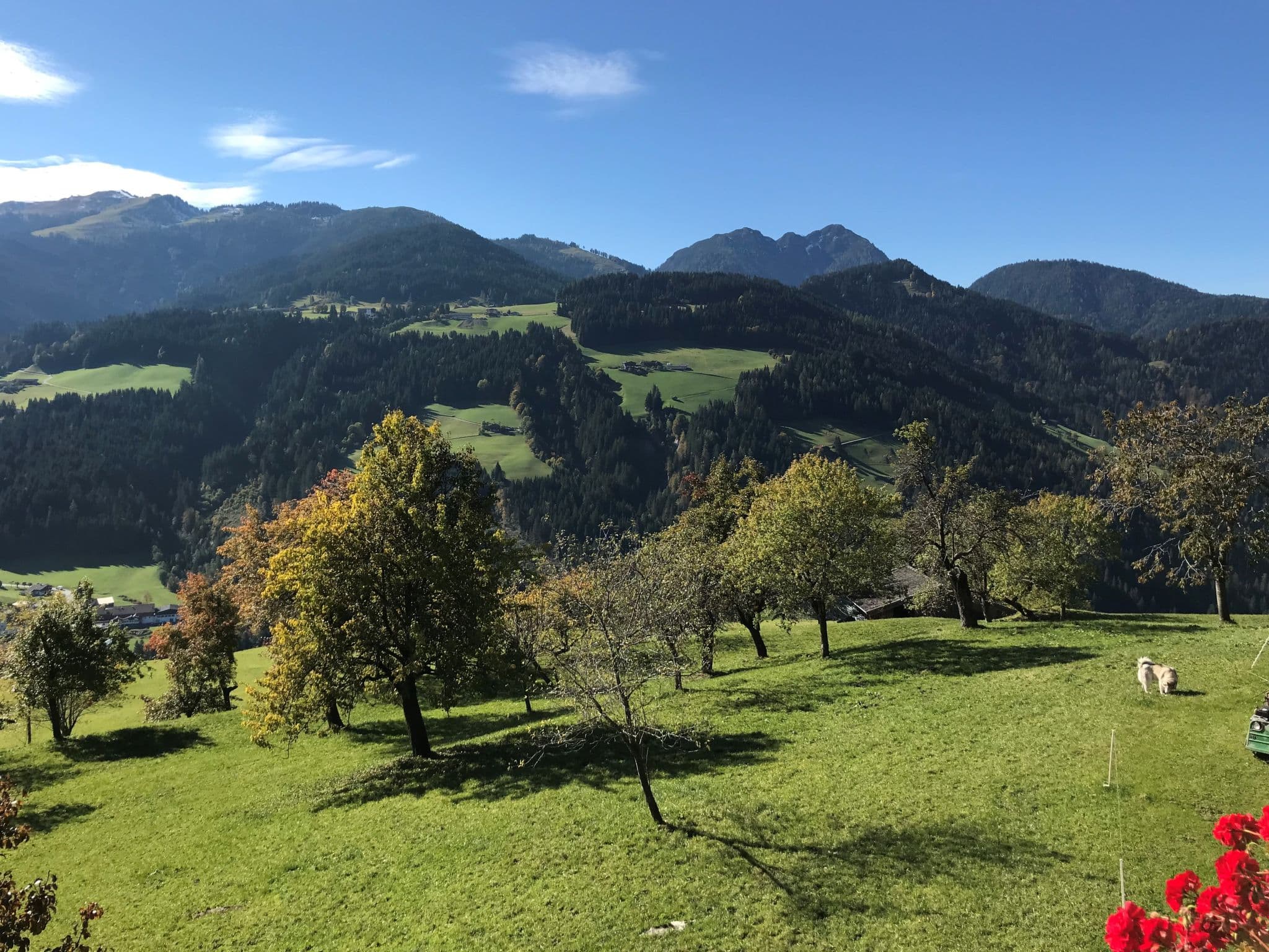 View