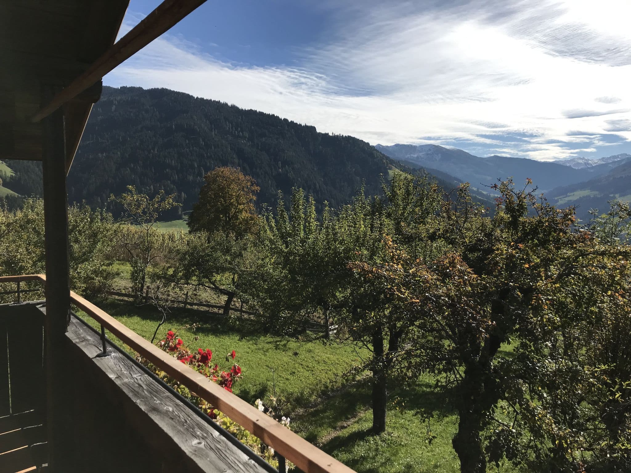 View