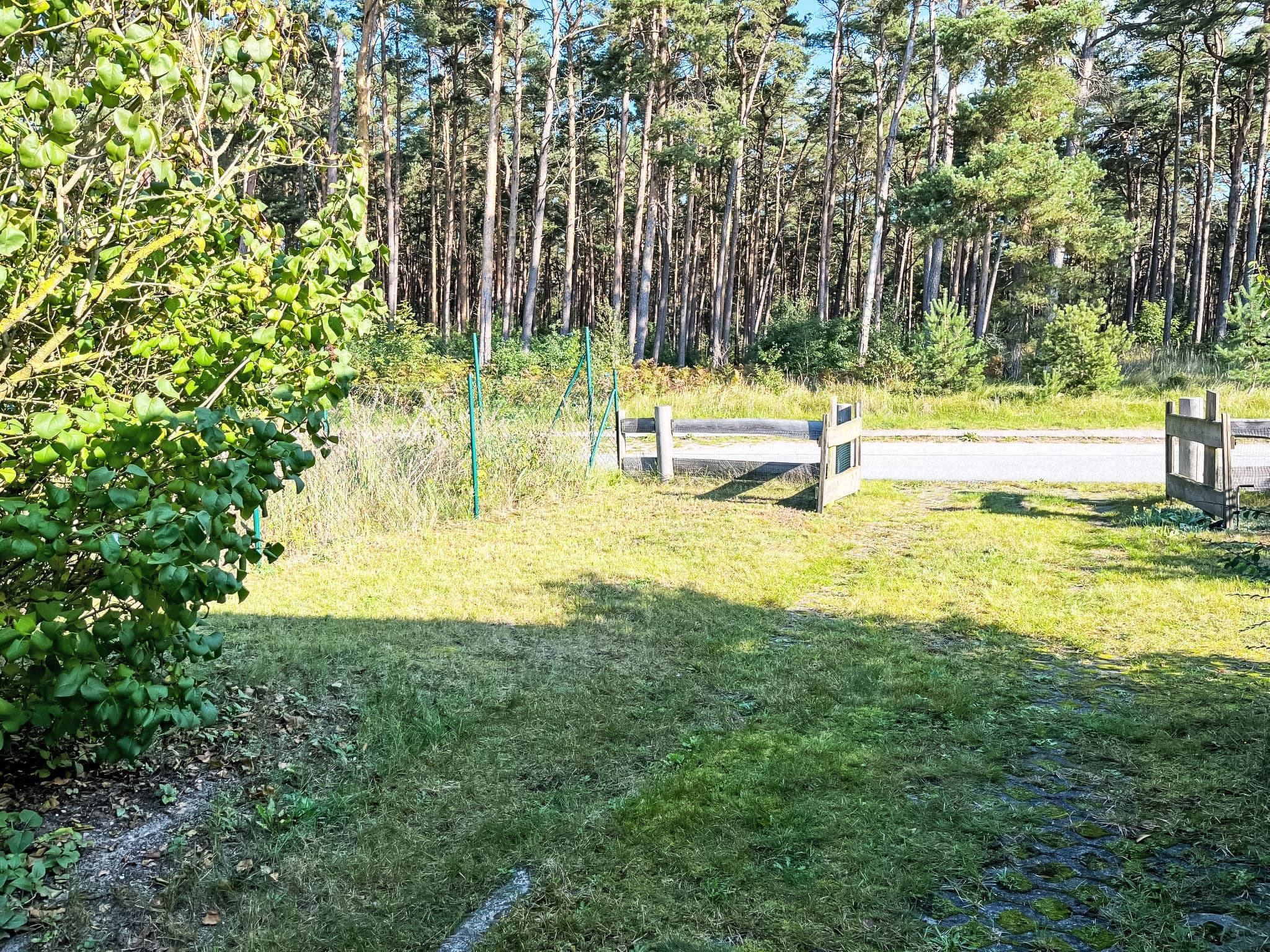 Outdoor