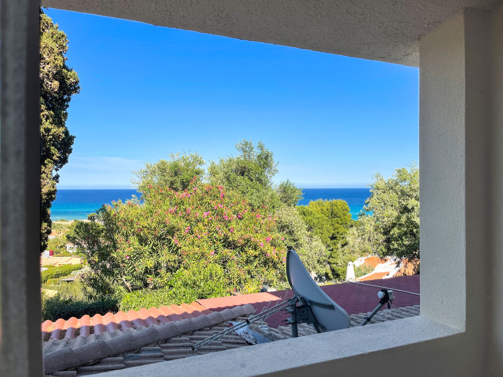 View