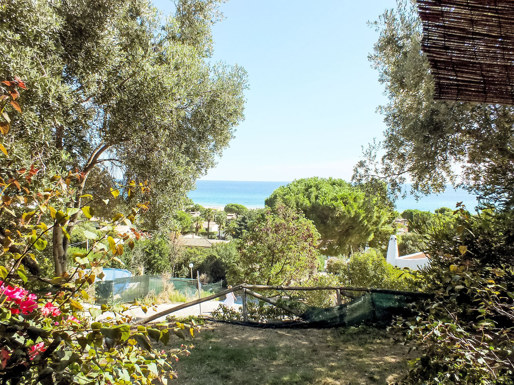 View