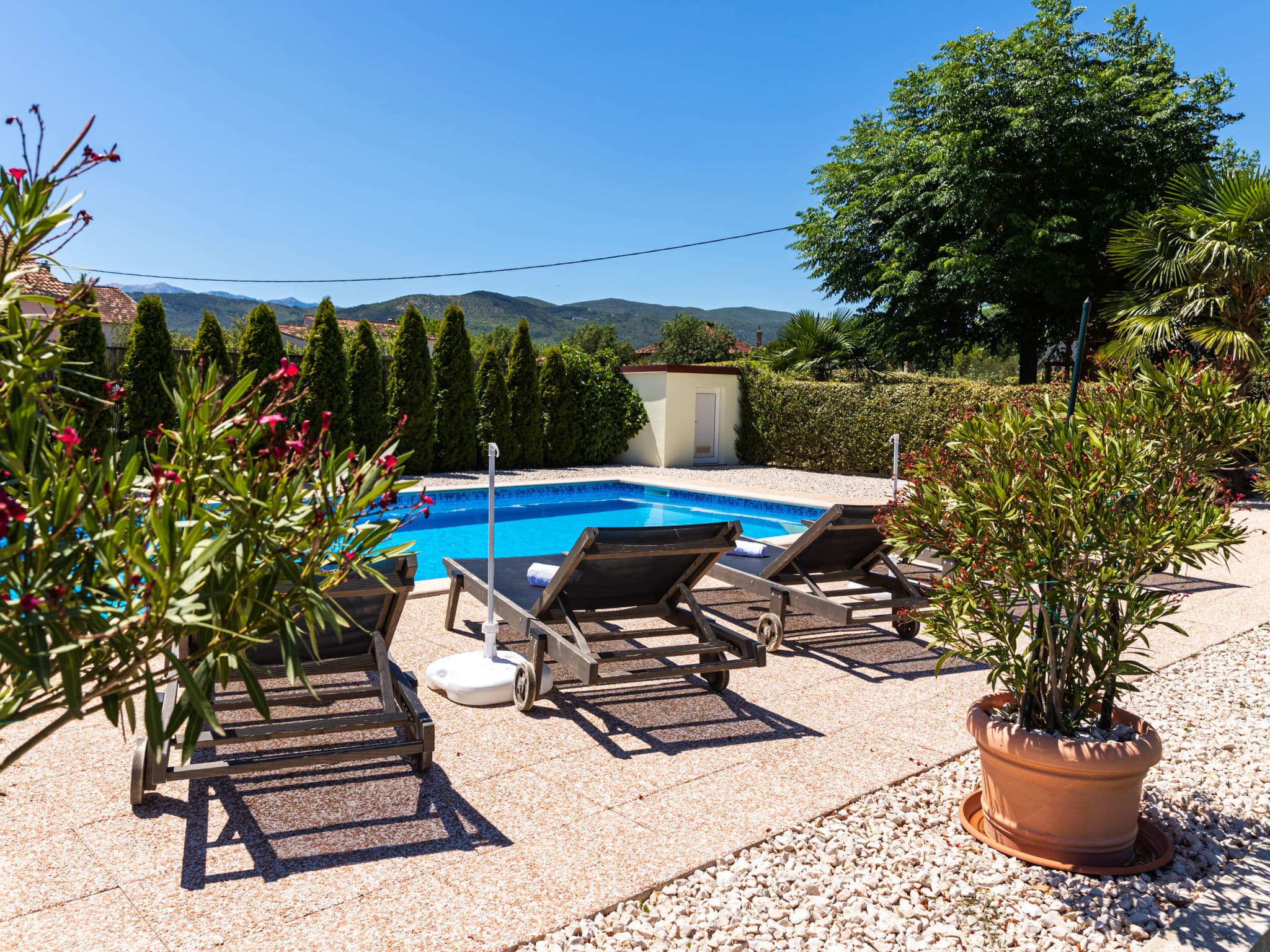 Pool Outdoor