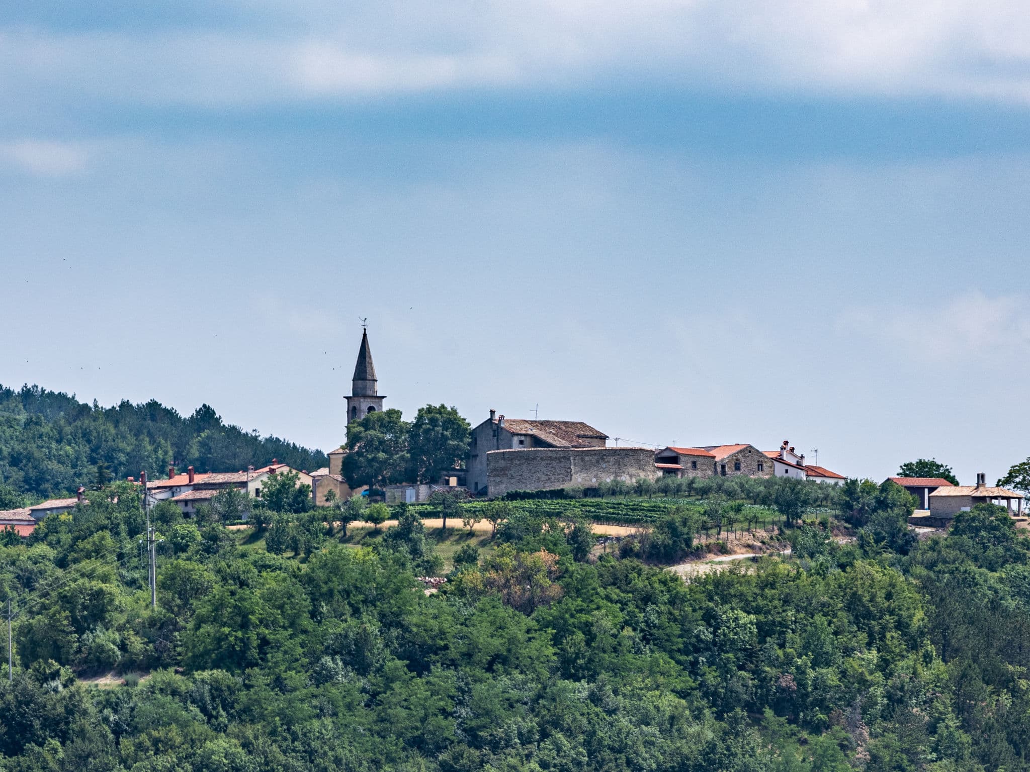 View