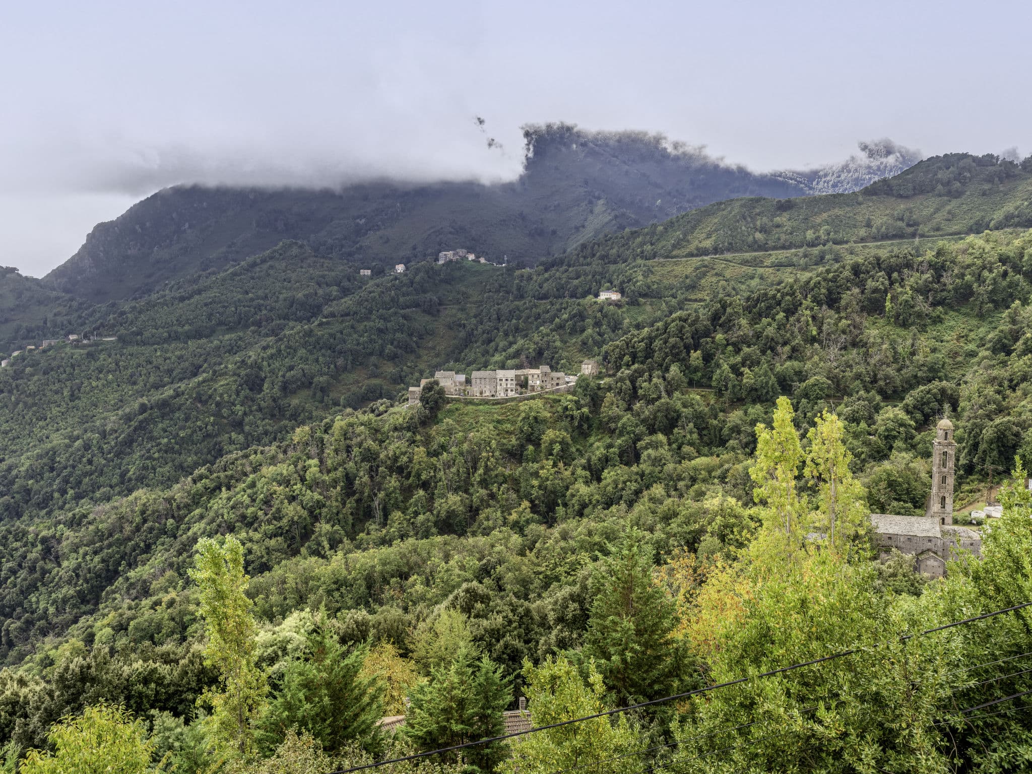 View