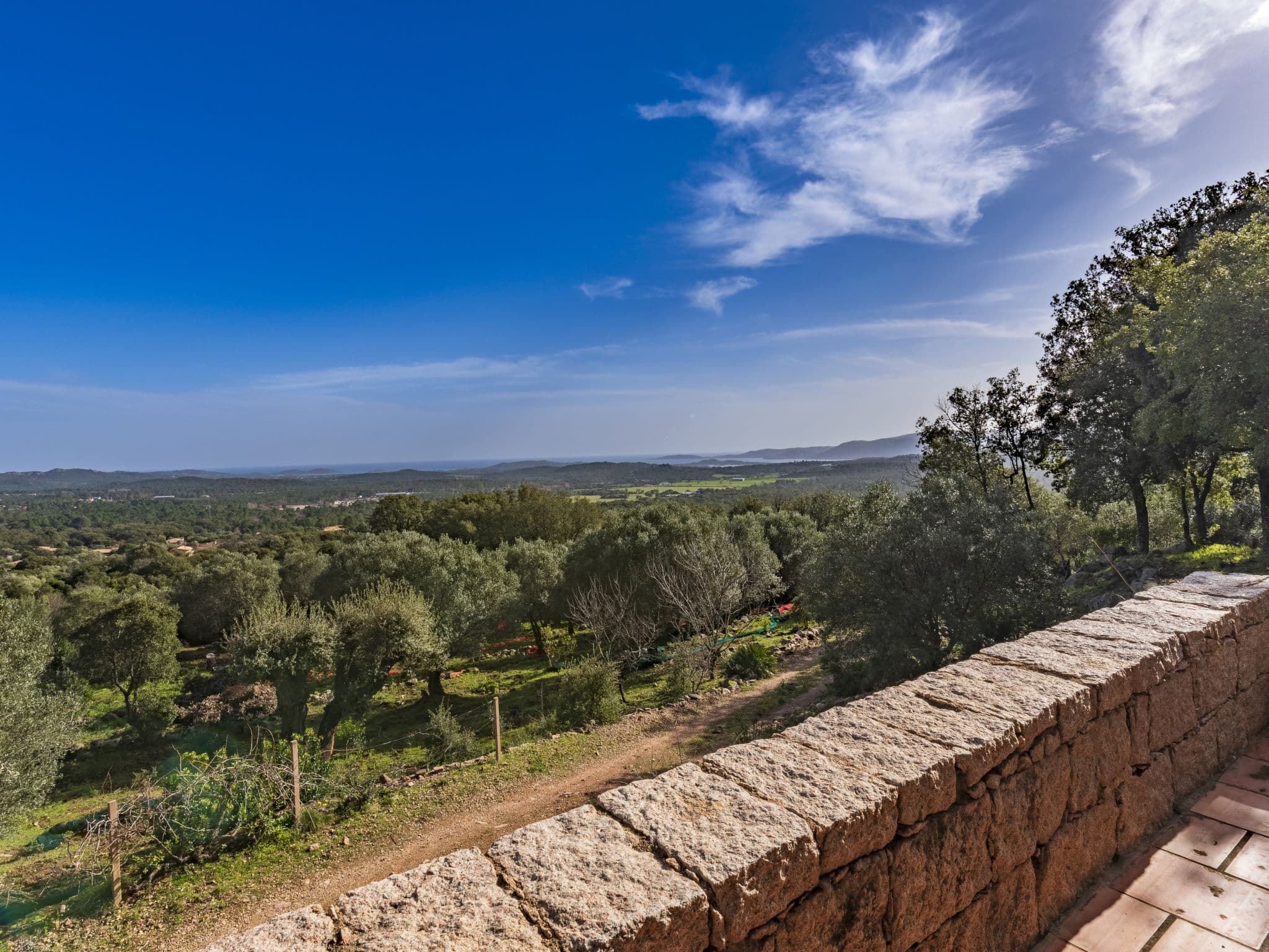 View