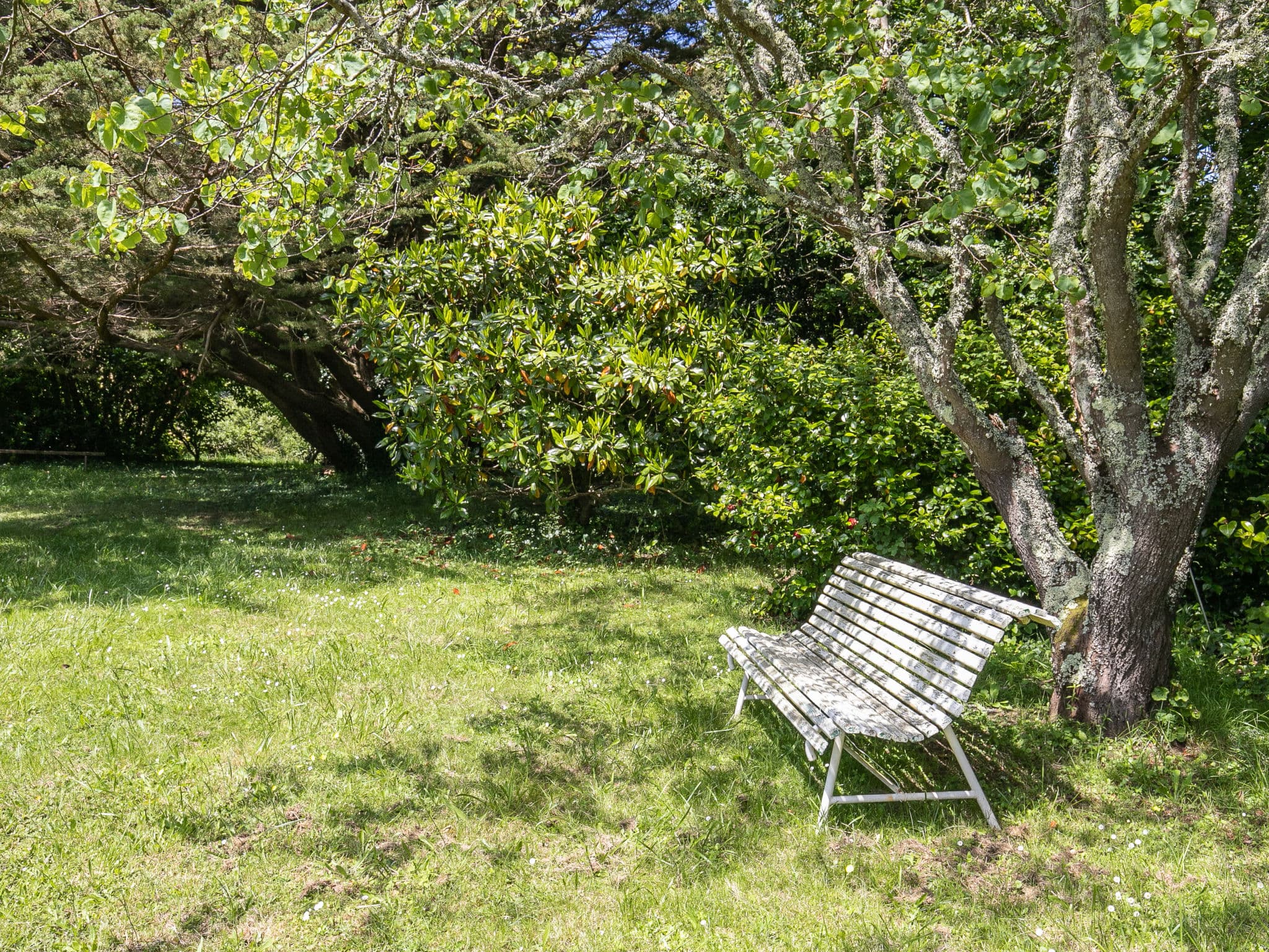 Outdoor