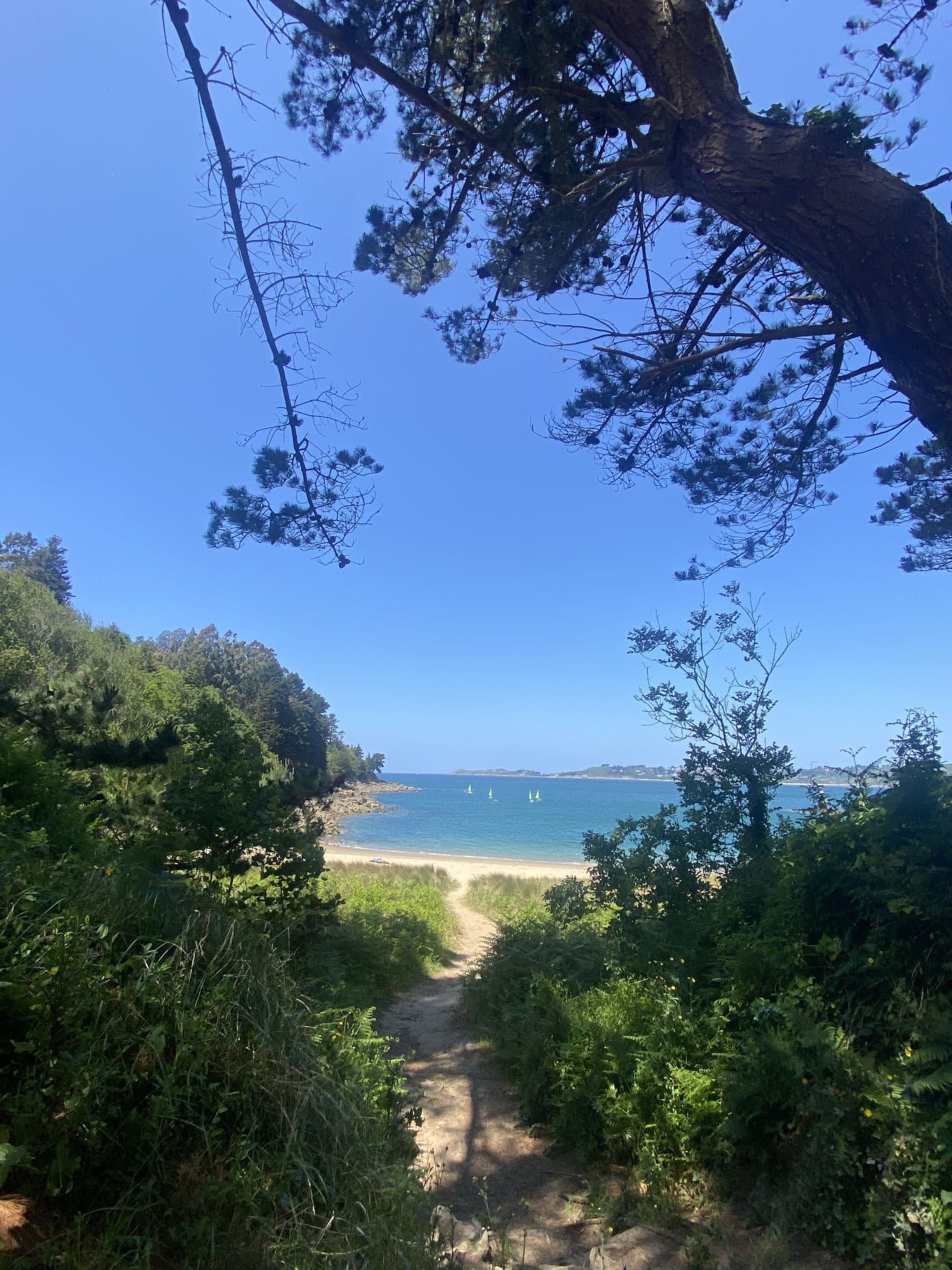 Beach