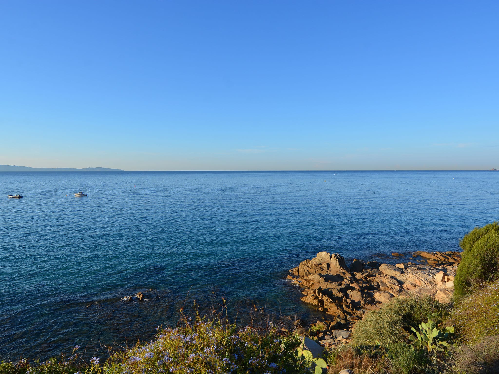 View