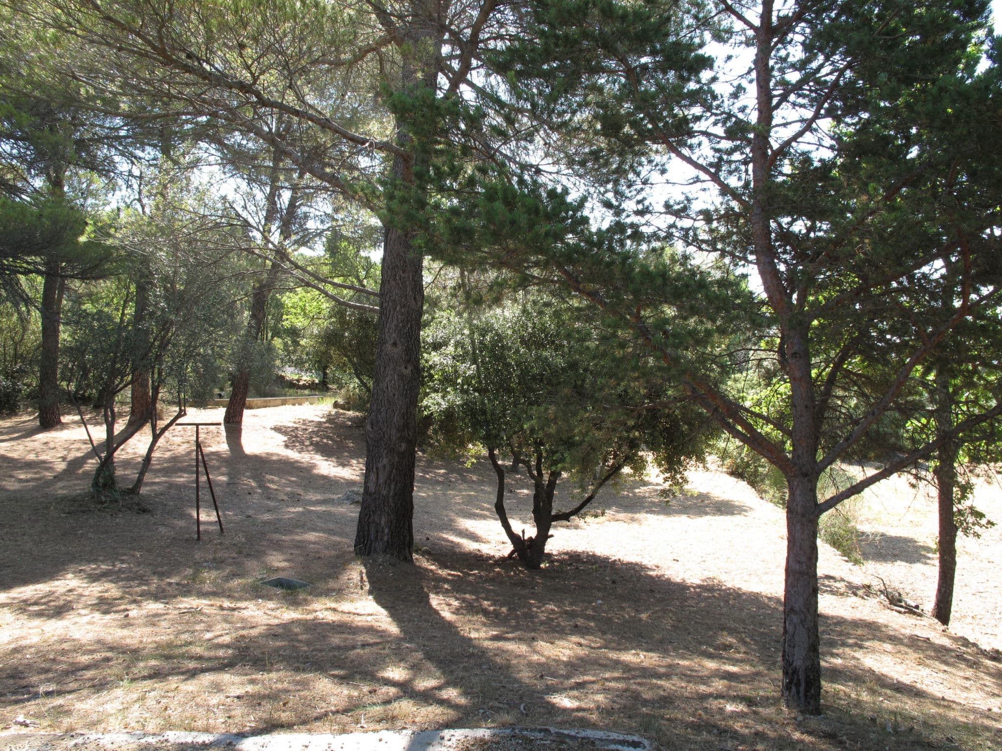 Outdoor