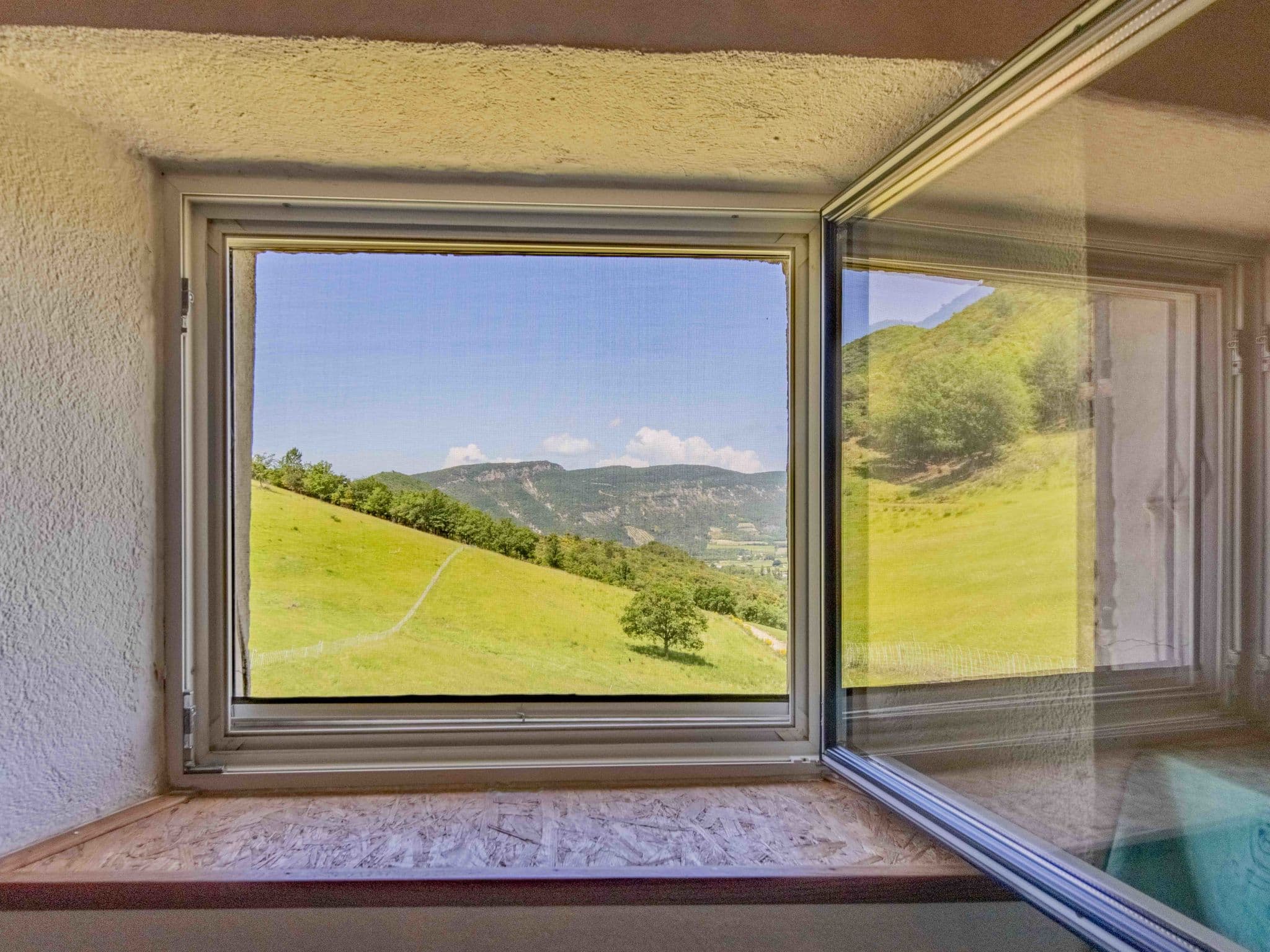 View