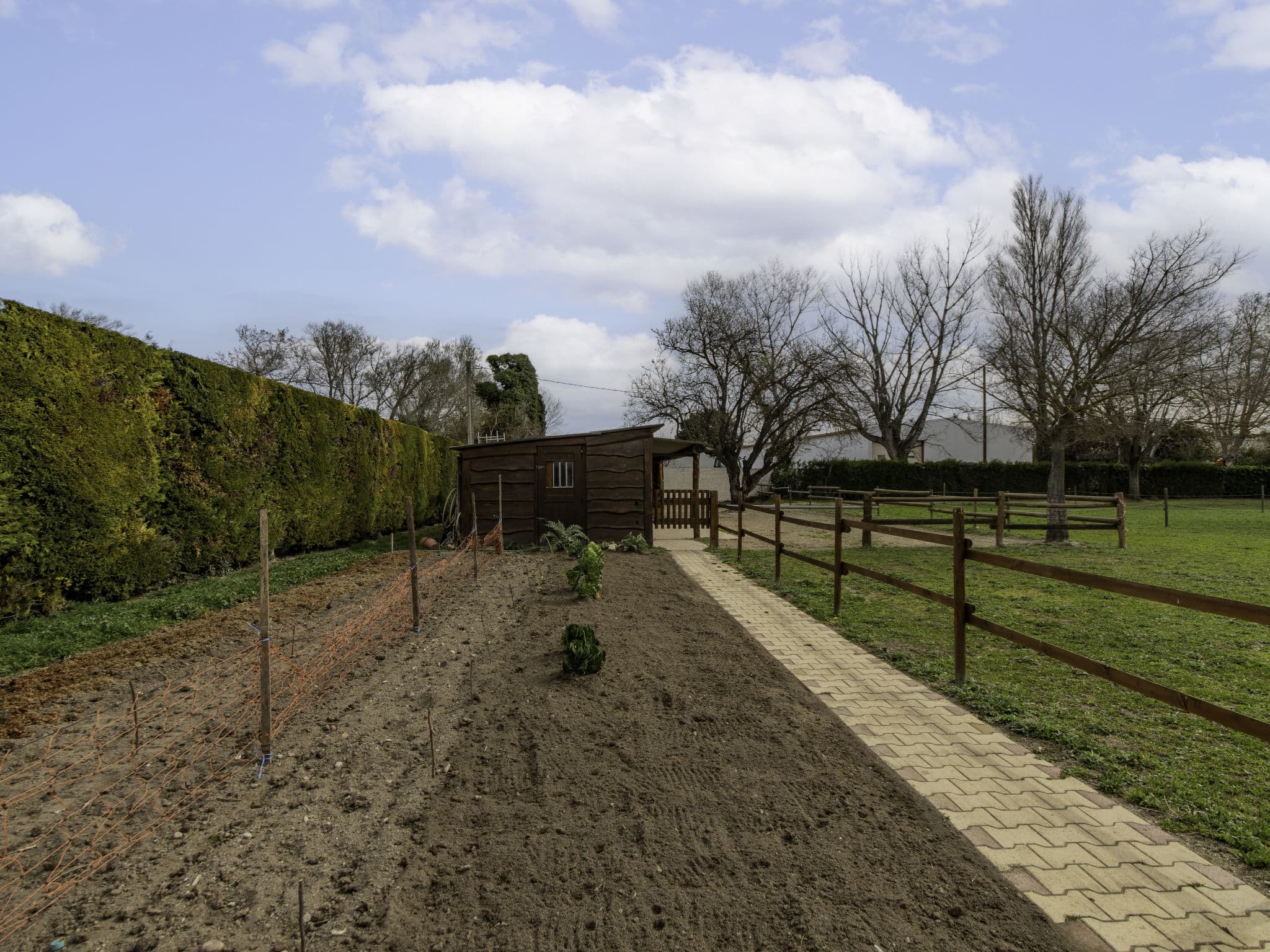 Outdoor