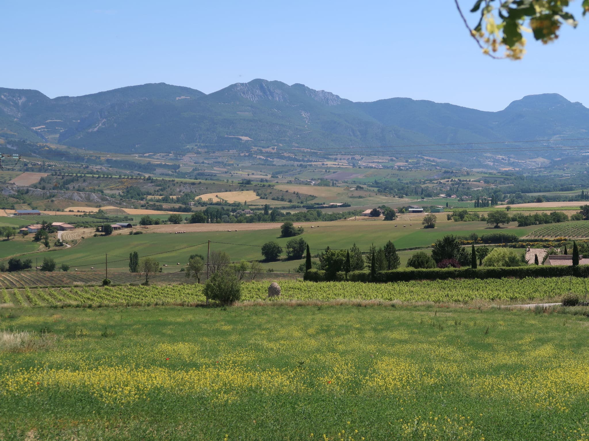 View