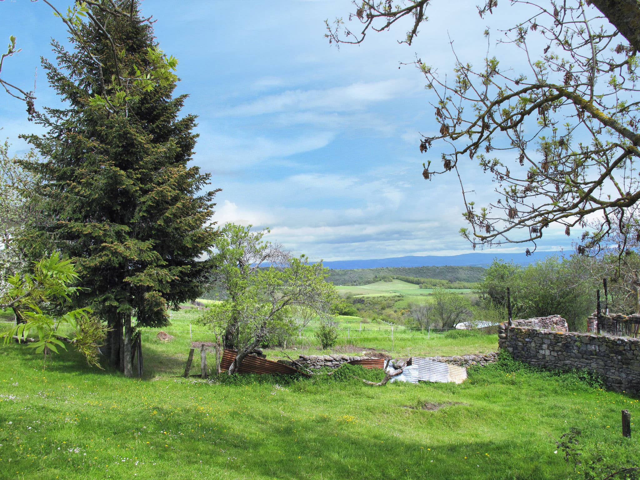 View