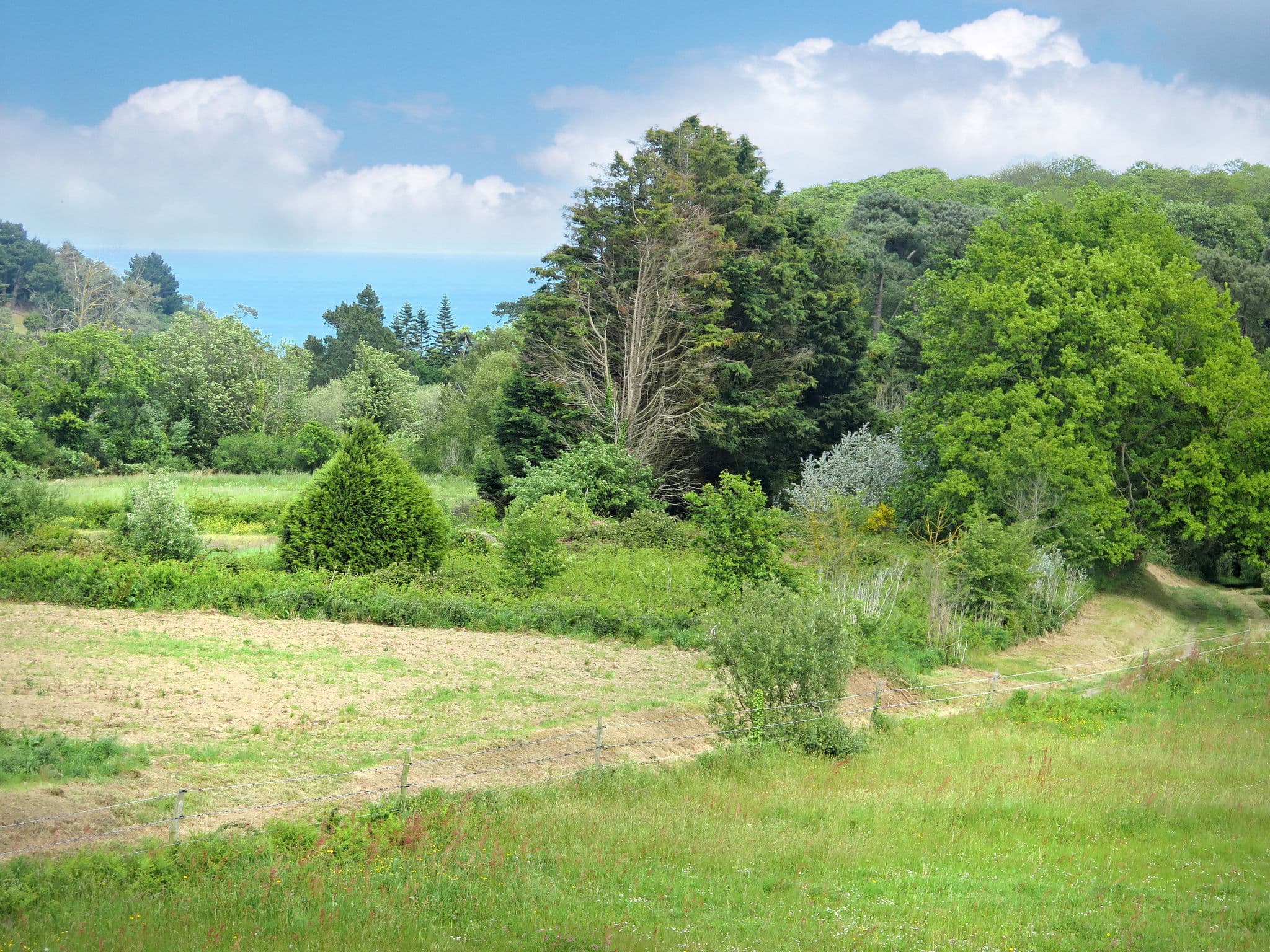 View