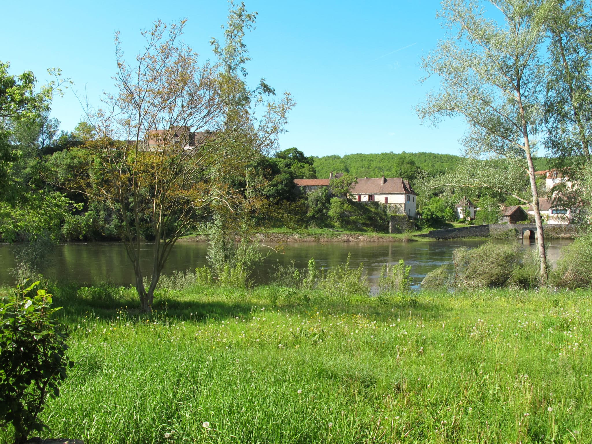 View