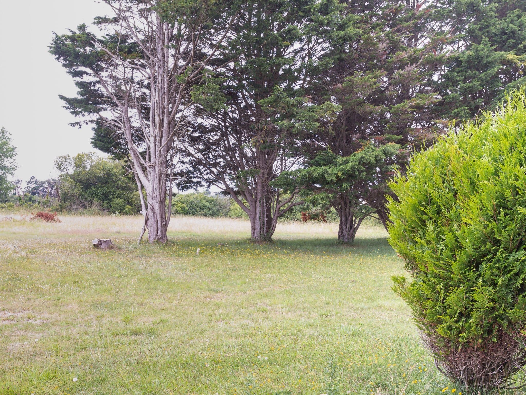 Outdoor
