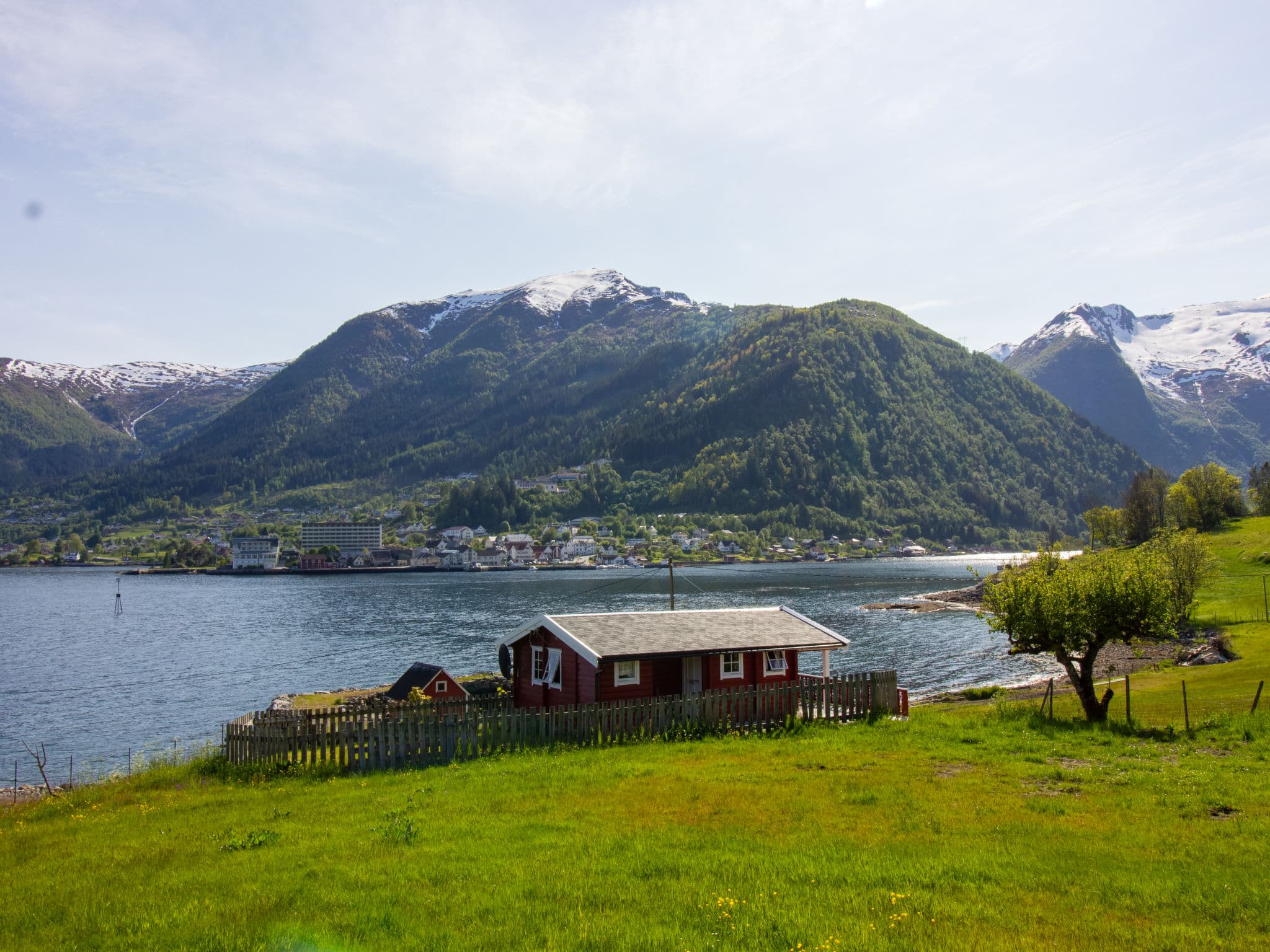 View