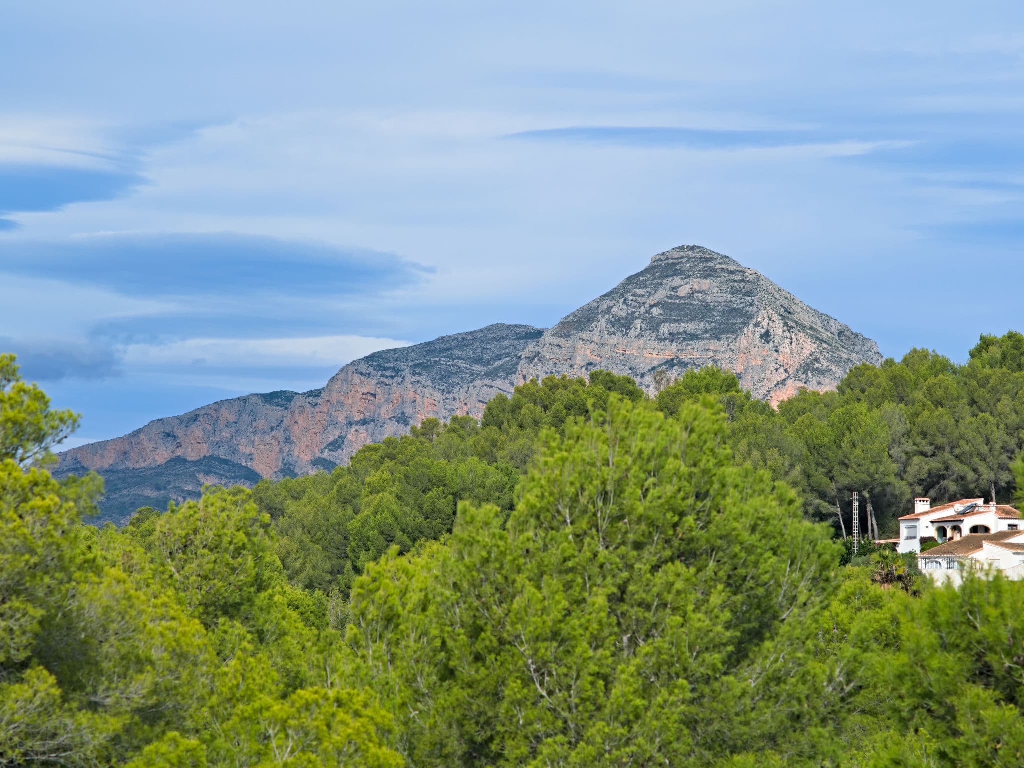View