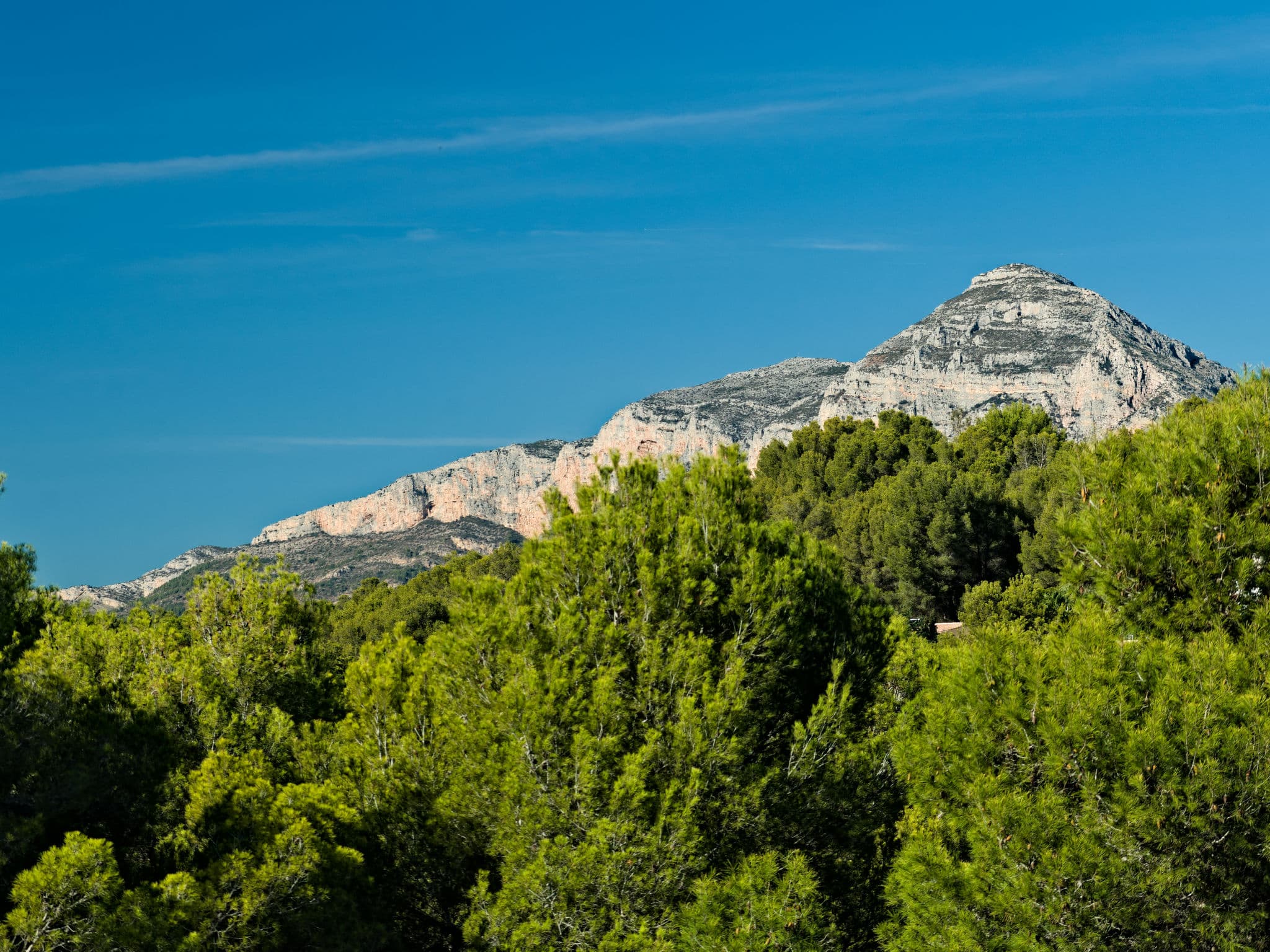 View