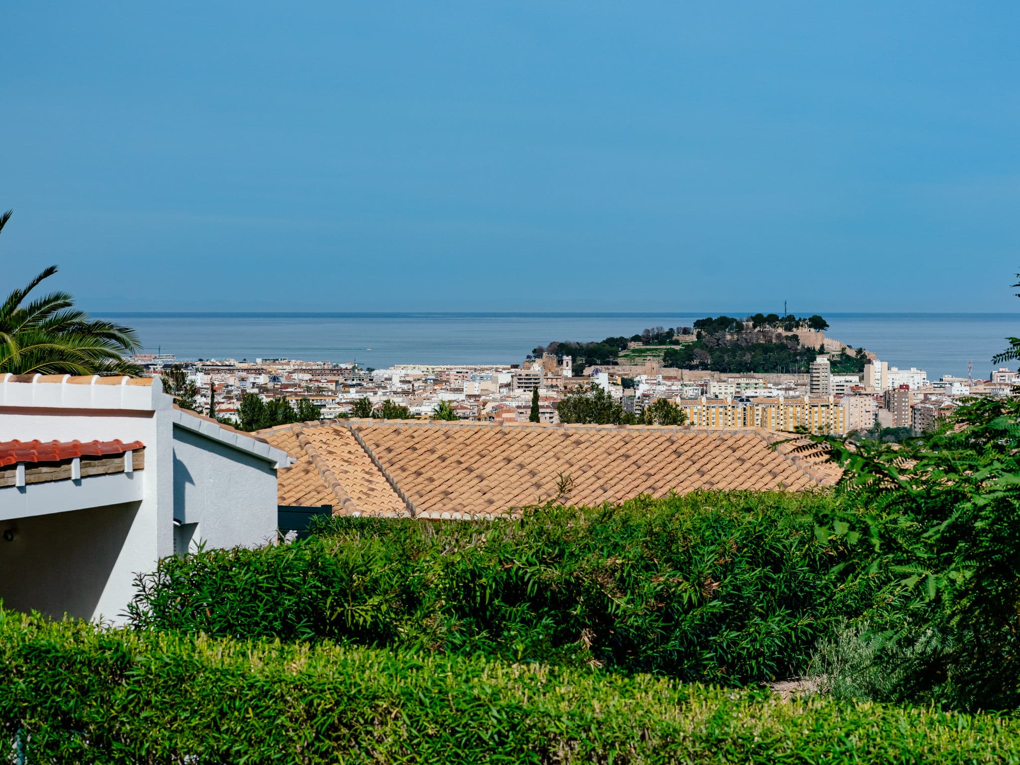 View
