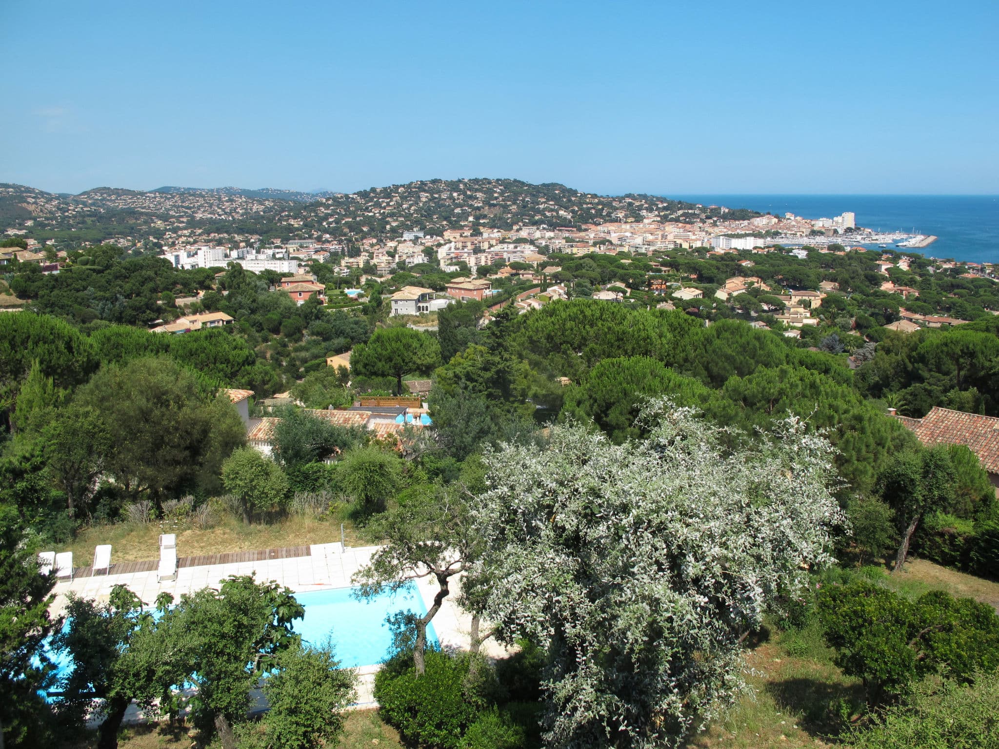 View