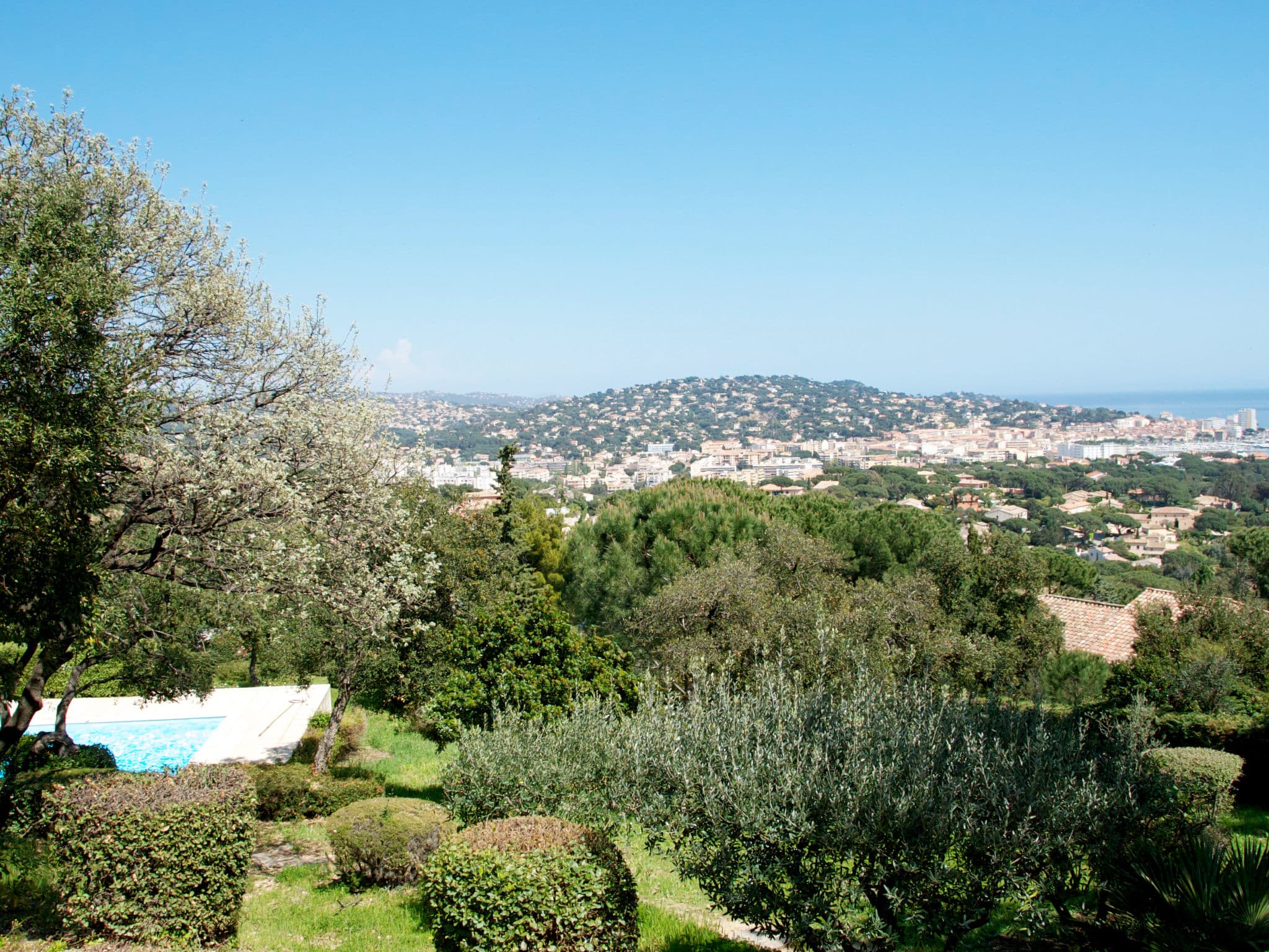 View