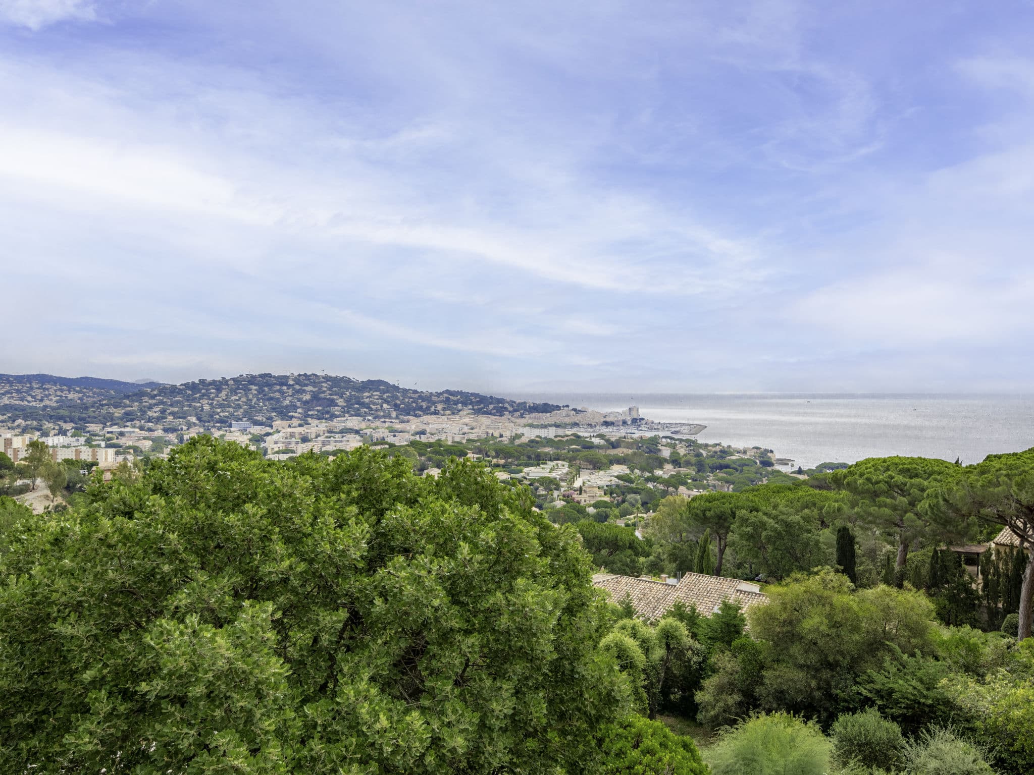 View