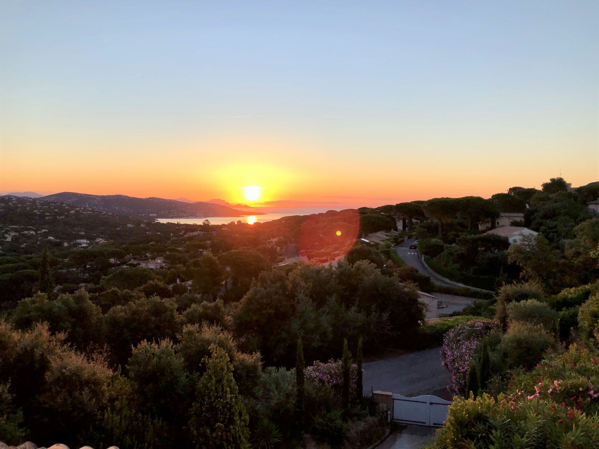 View