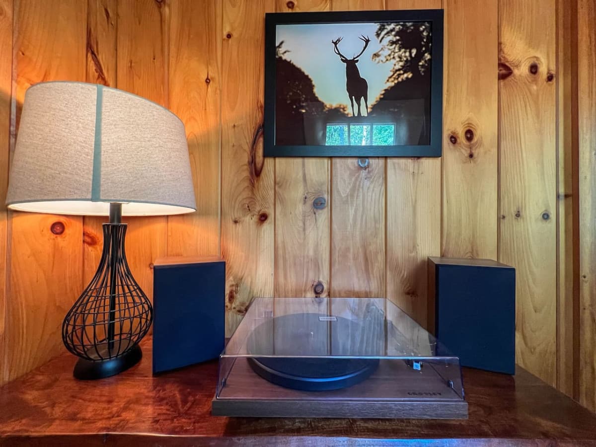 Record player (with bluetooth!)