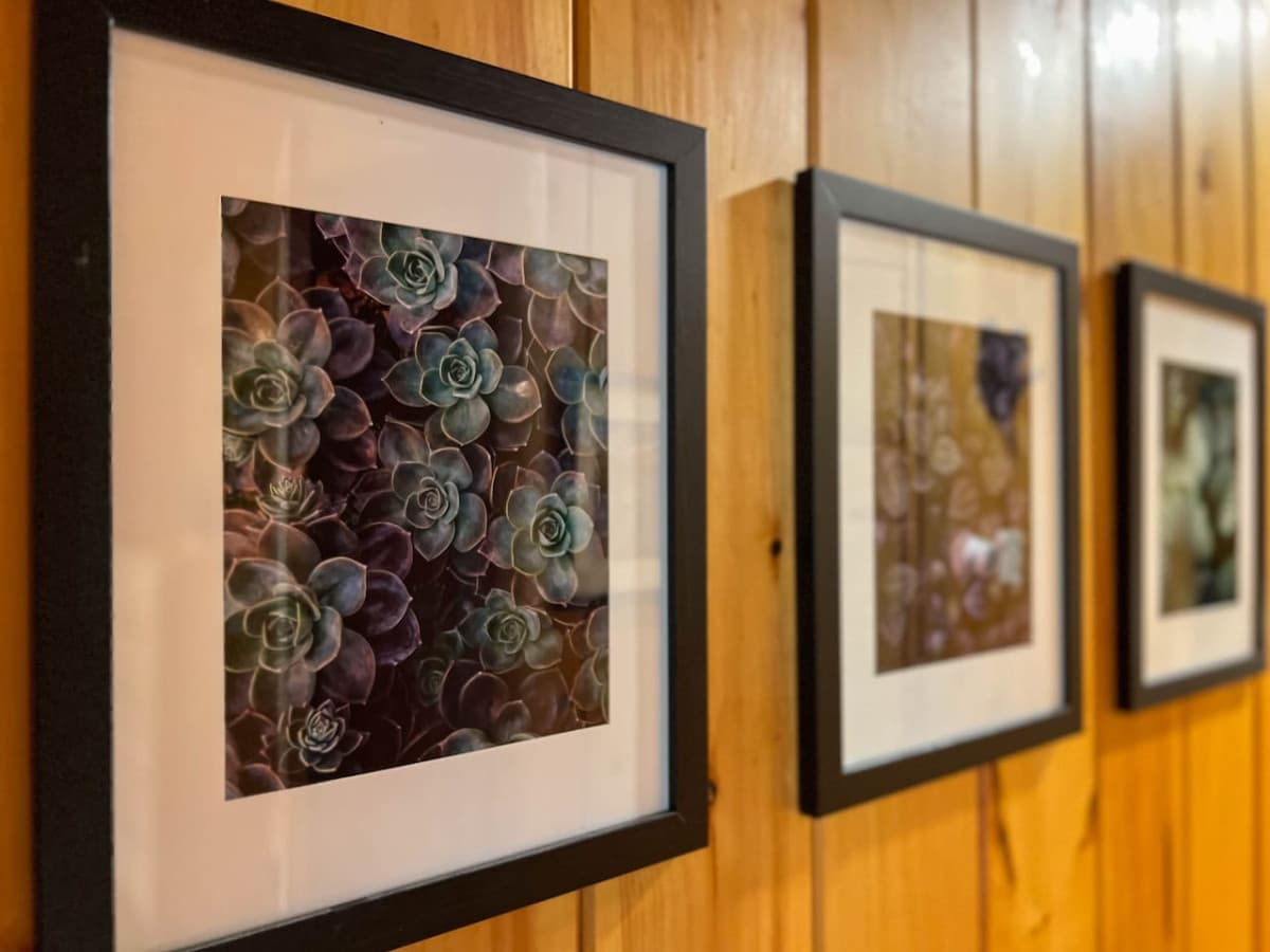 Artwork throughout the cabin
