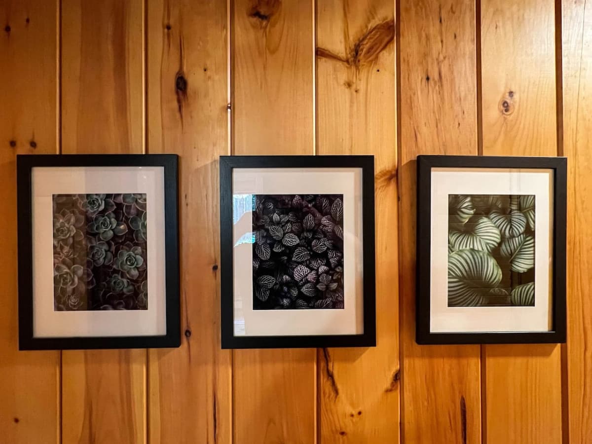 Artwork throughout the cabin