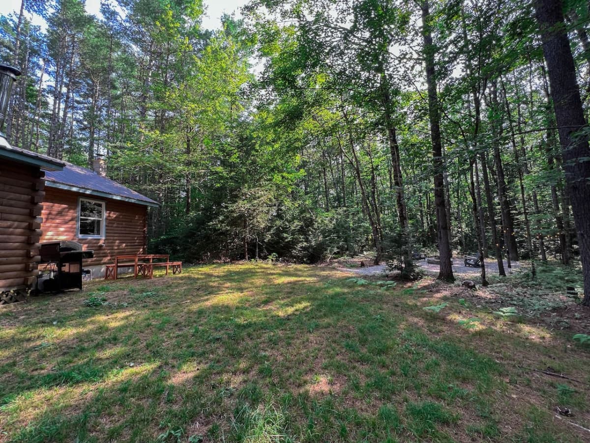 Large backyard