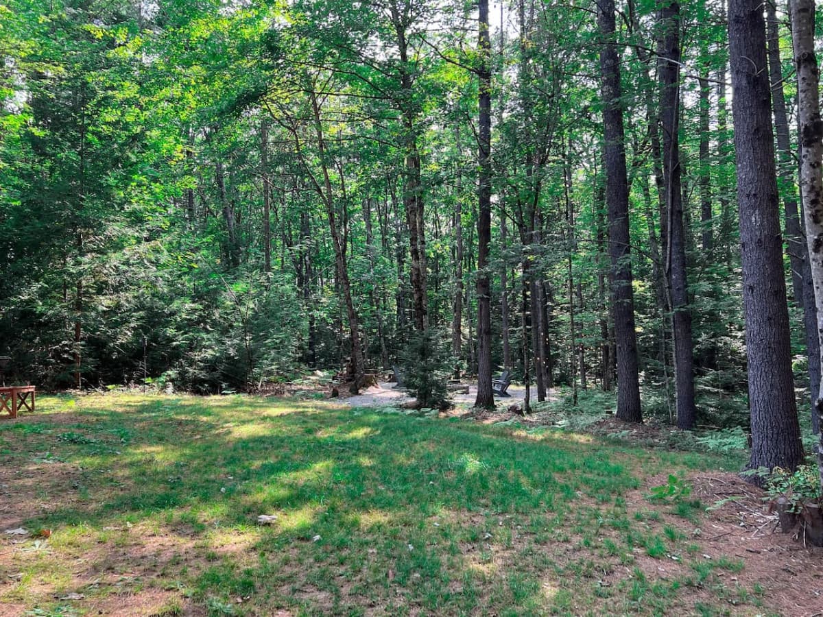 The quintessential Maine cabin - enjoy every minute of this tranquillity
