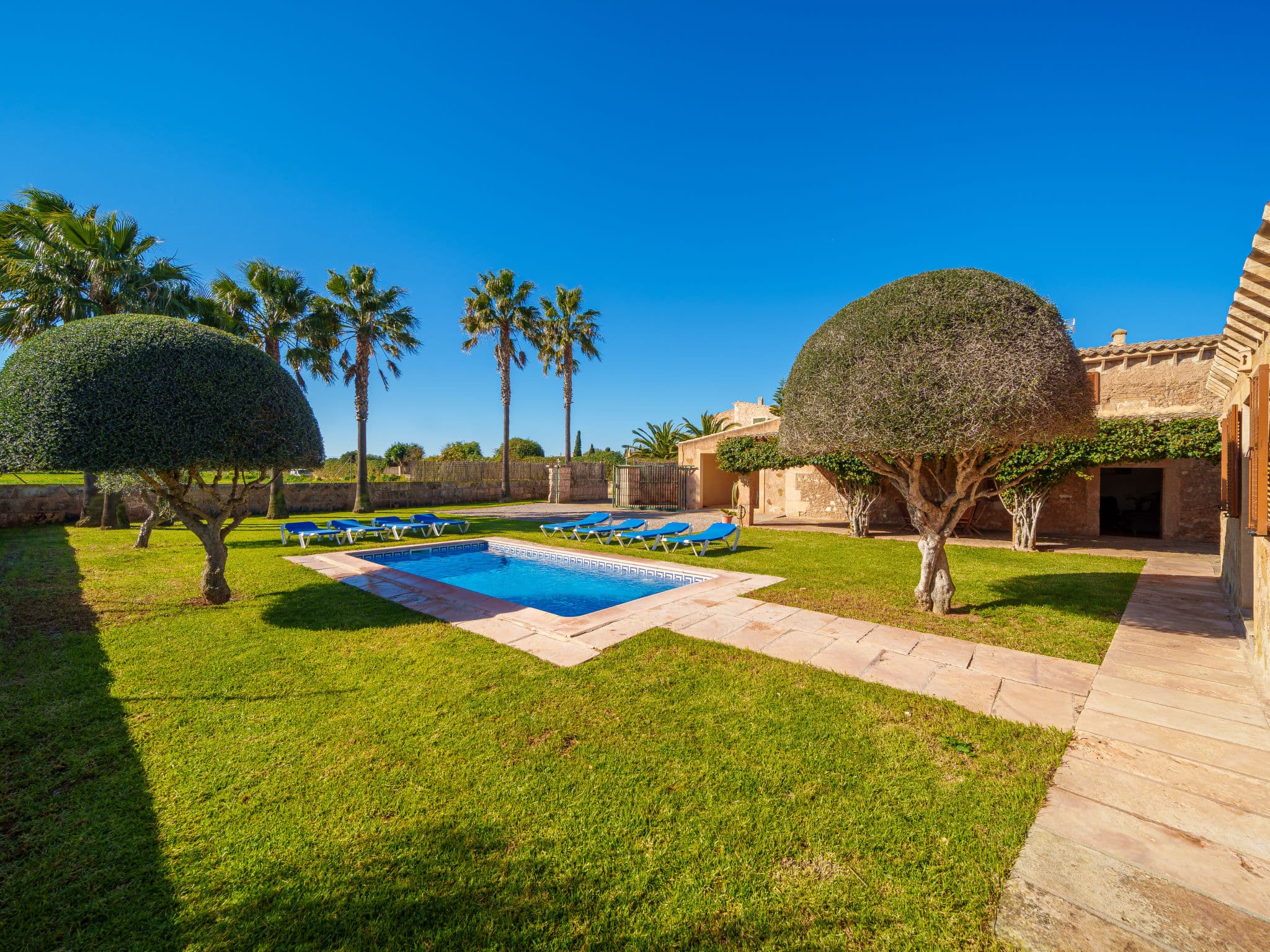 Pool Outdoor