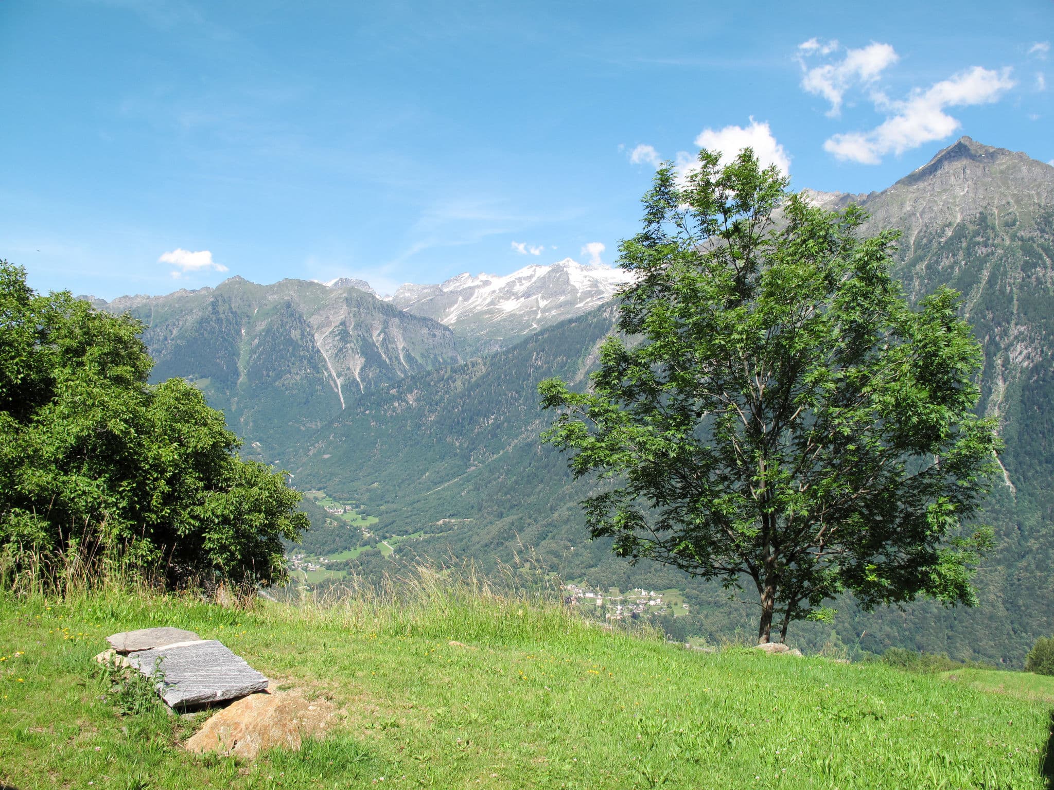 View