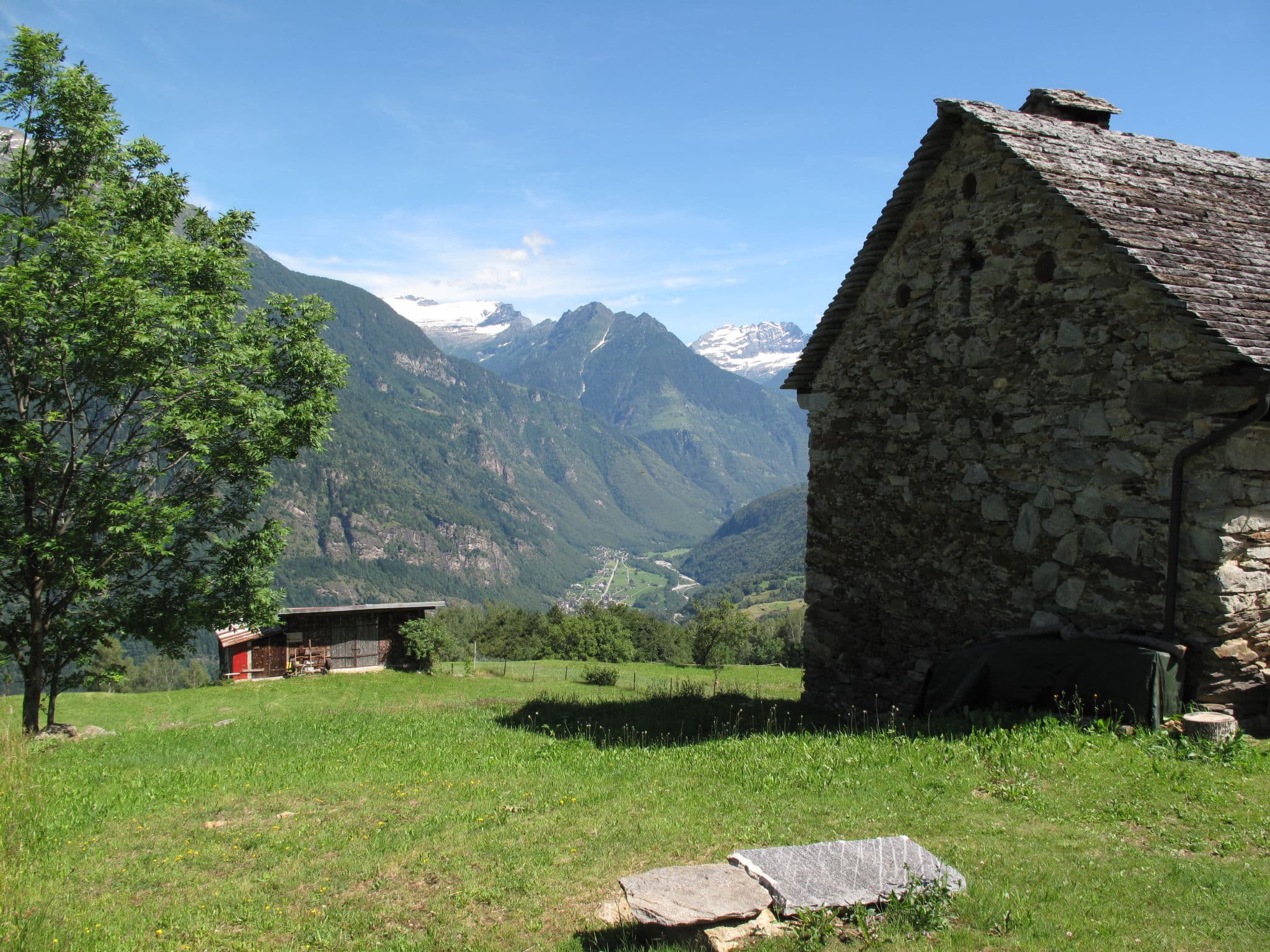 View